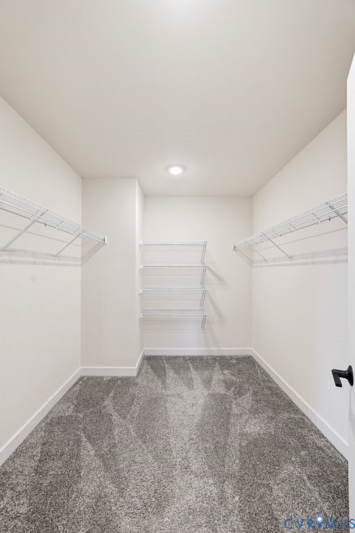 3221 Gannet Ln