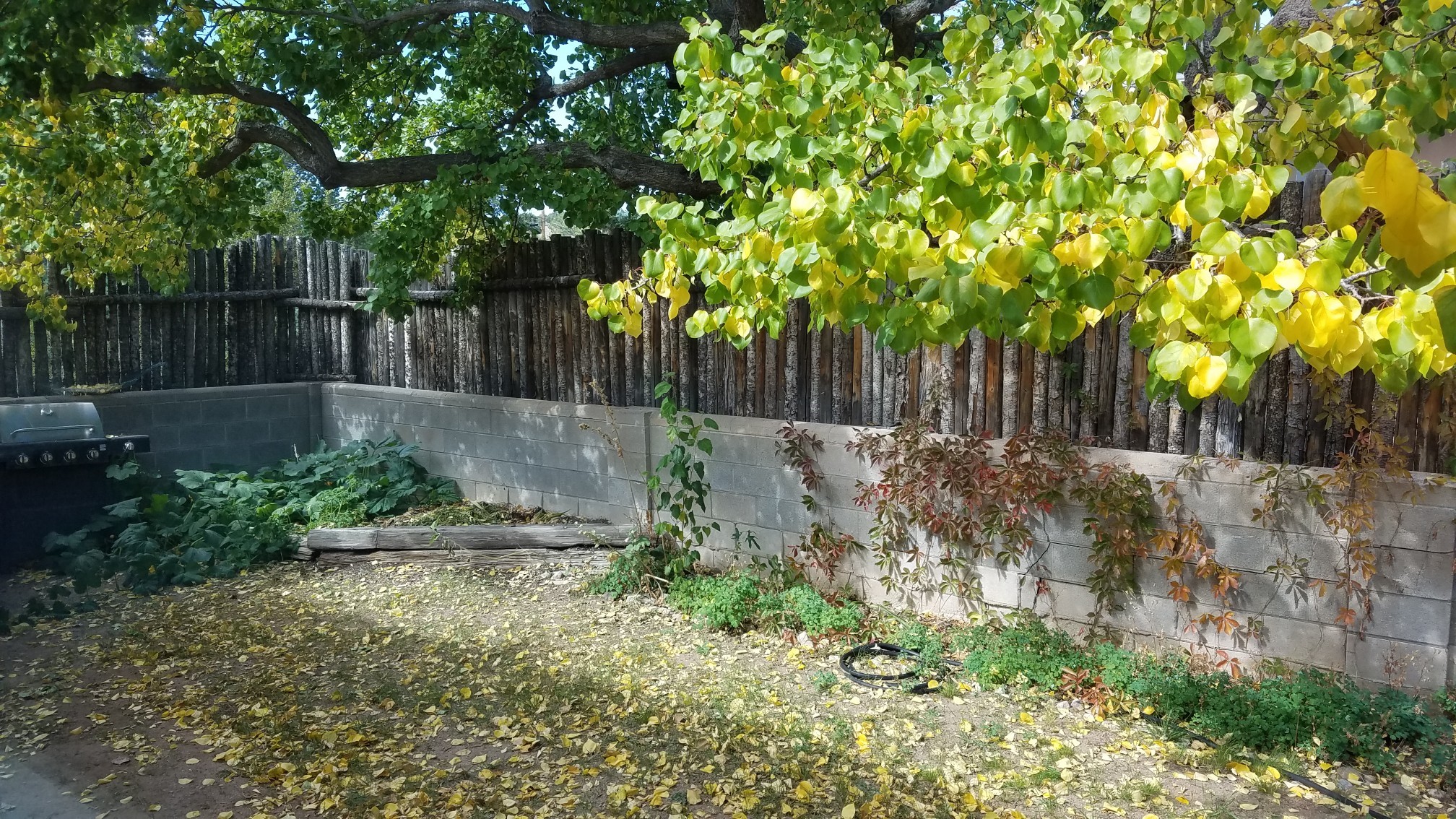 1115 N Luna Circle