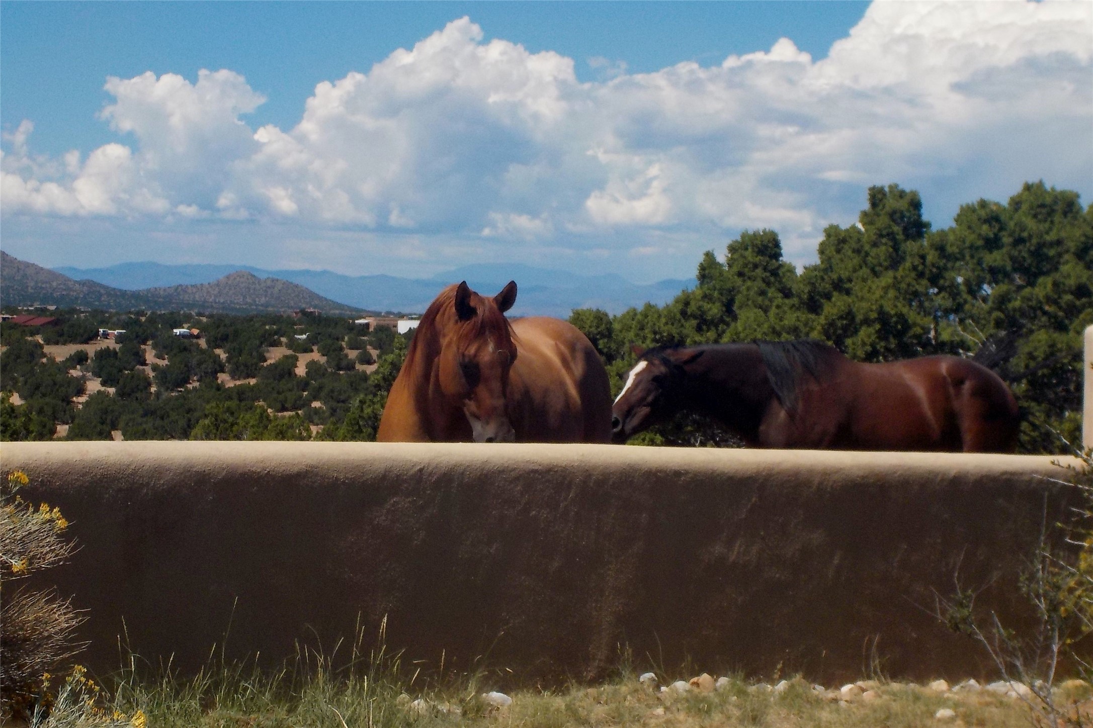 263 Camino Los Abuelos