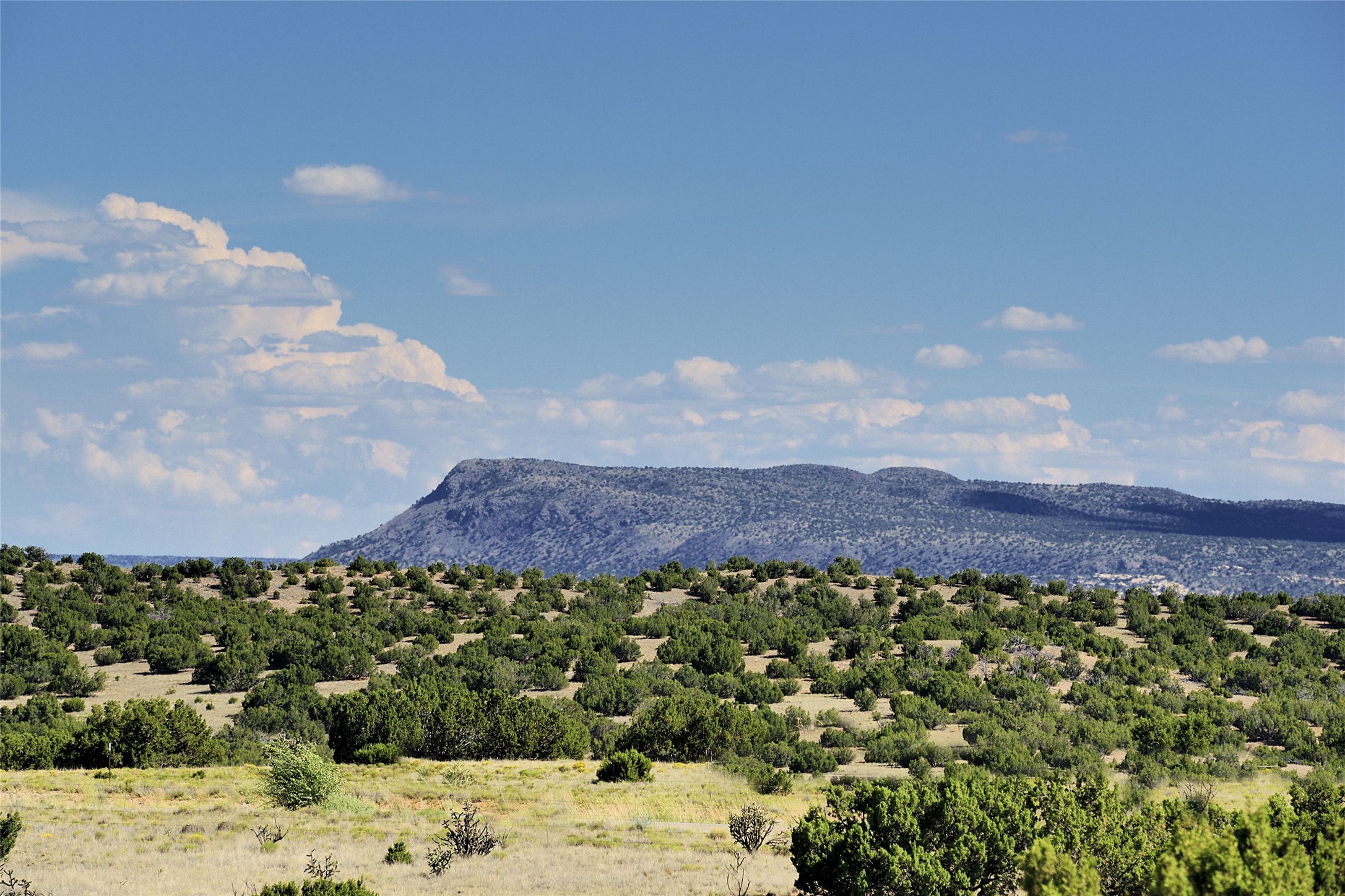 263 Camino Los Abuelos