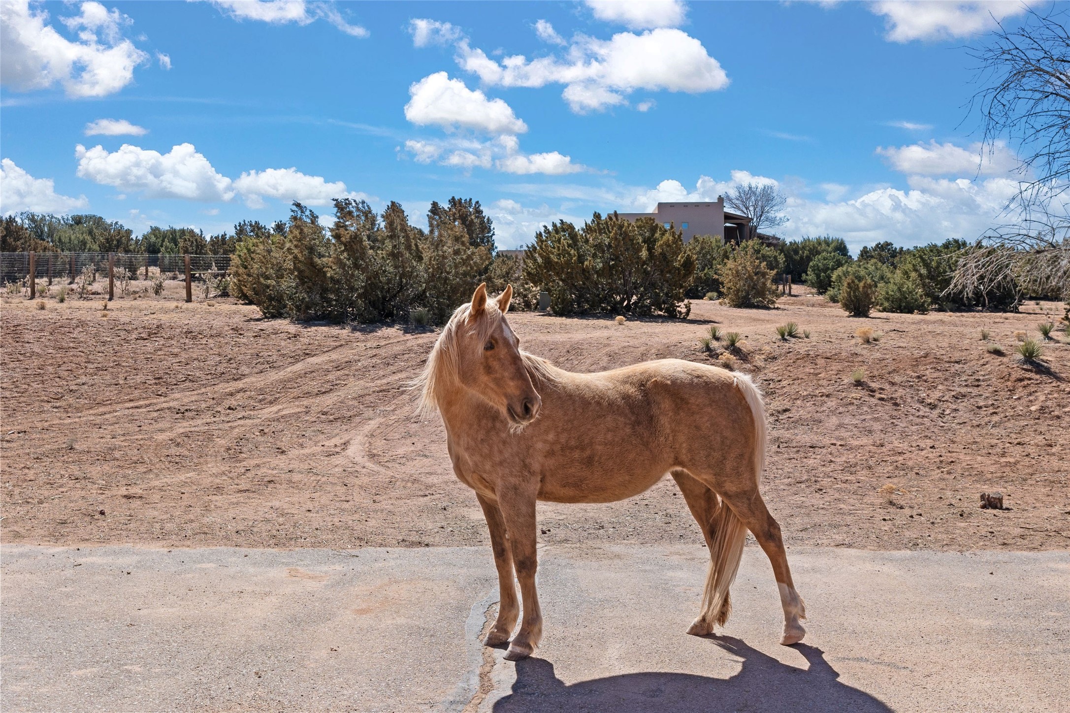 263 Camino Los Abuelos