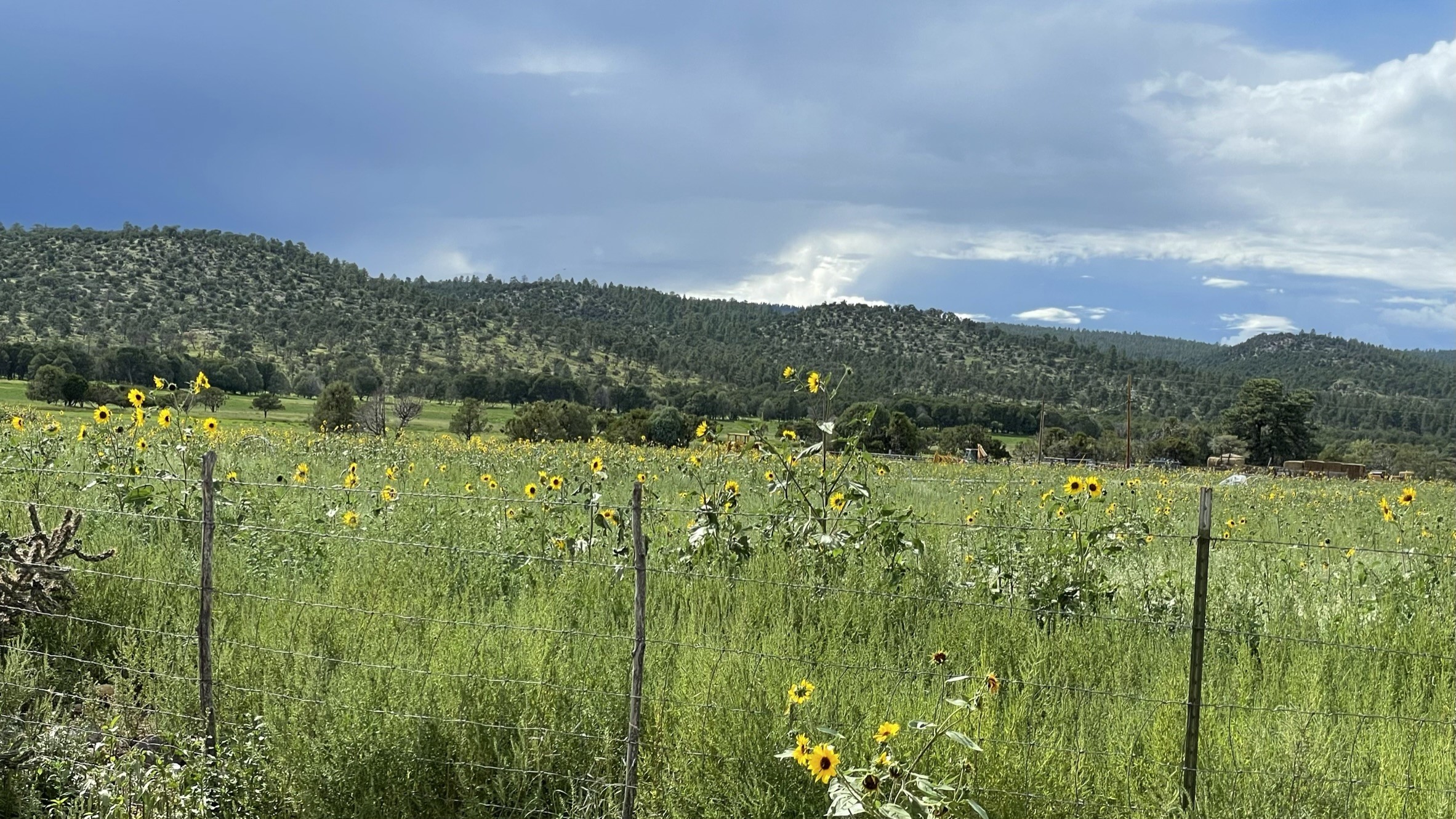 209A State Road 110