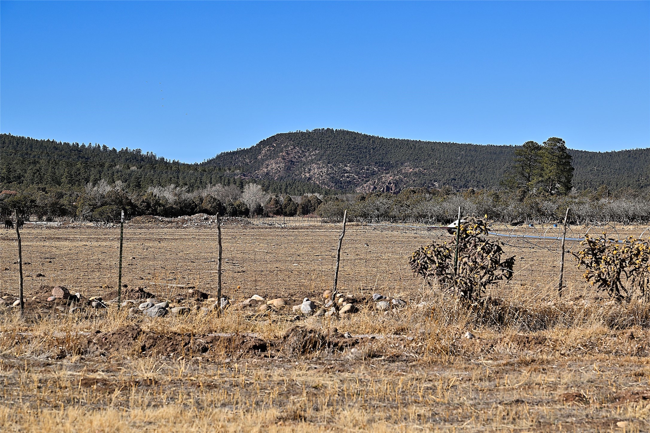 209A State Road 110