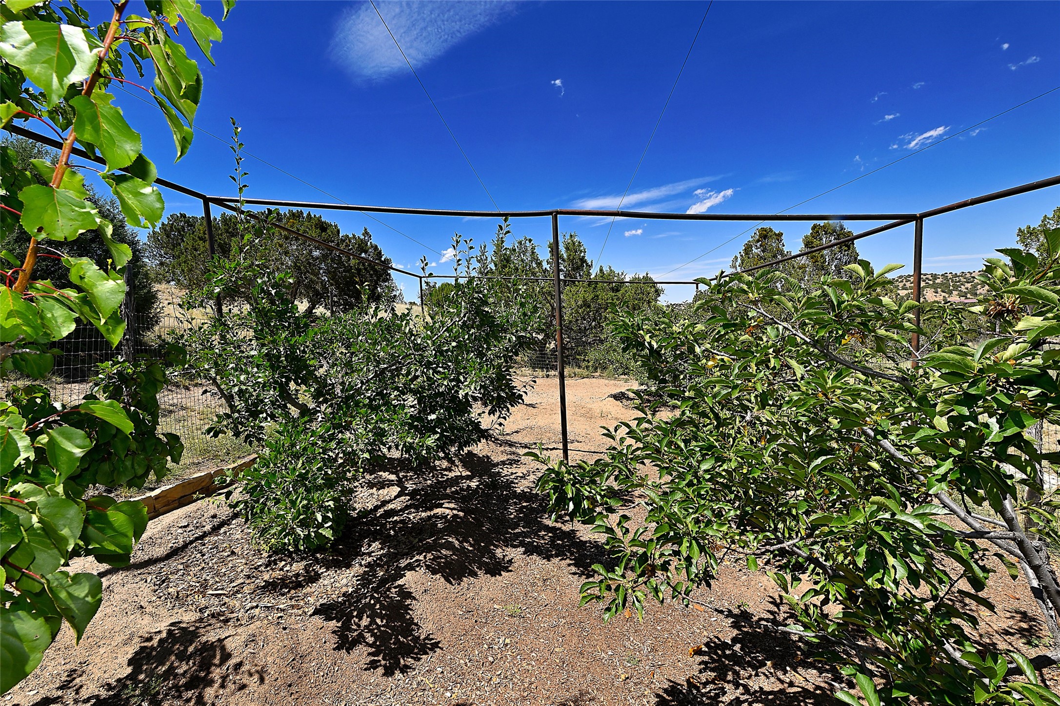 77 Headquarters Trail