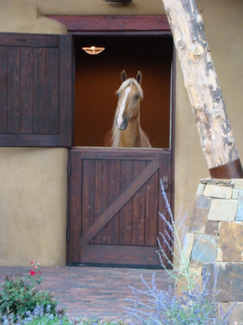 77 Headquarters Trail