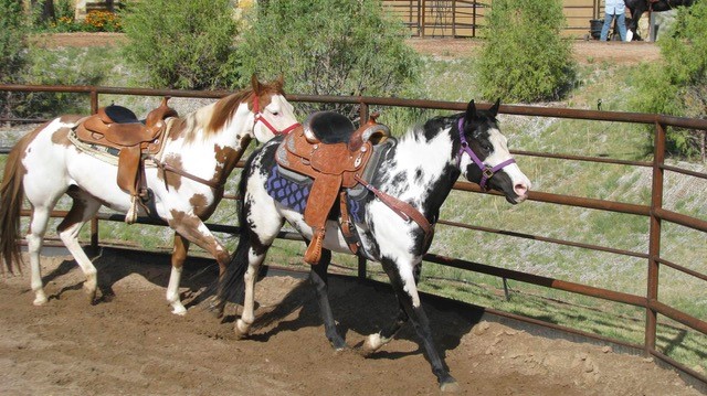 77 Headquarters Trail