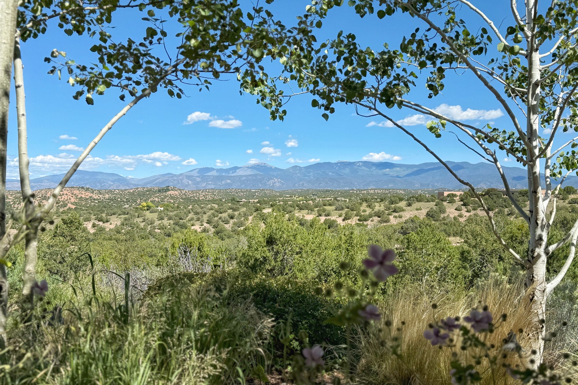 77 Headquarters Trail