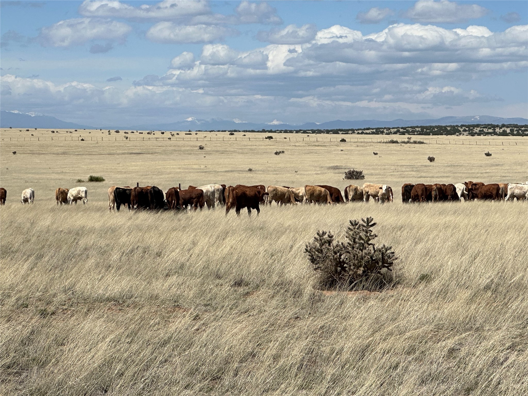 26262 US Highway 285