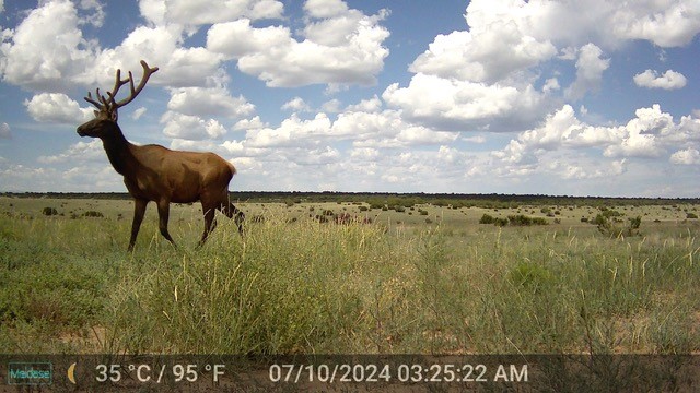 26262 US Highway 285