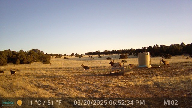 26262 US Highway 285