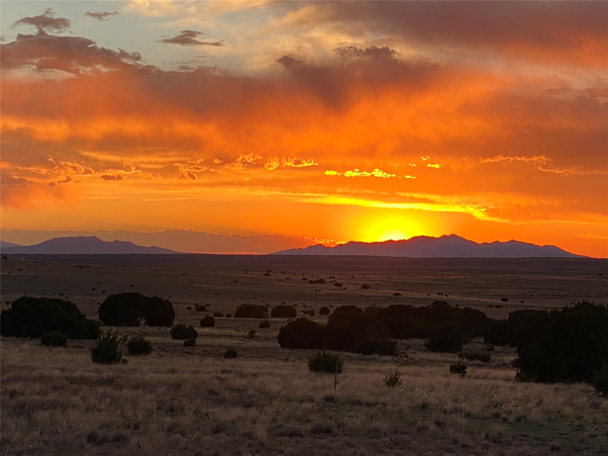 26262 US Highway 285