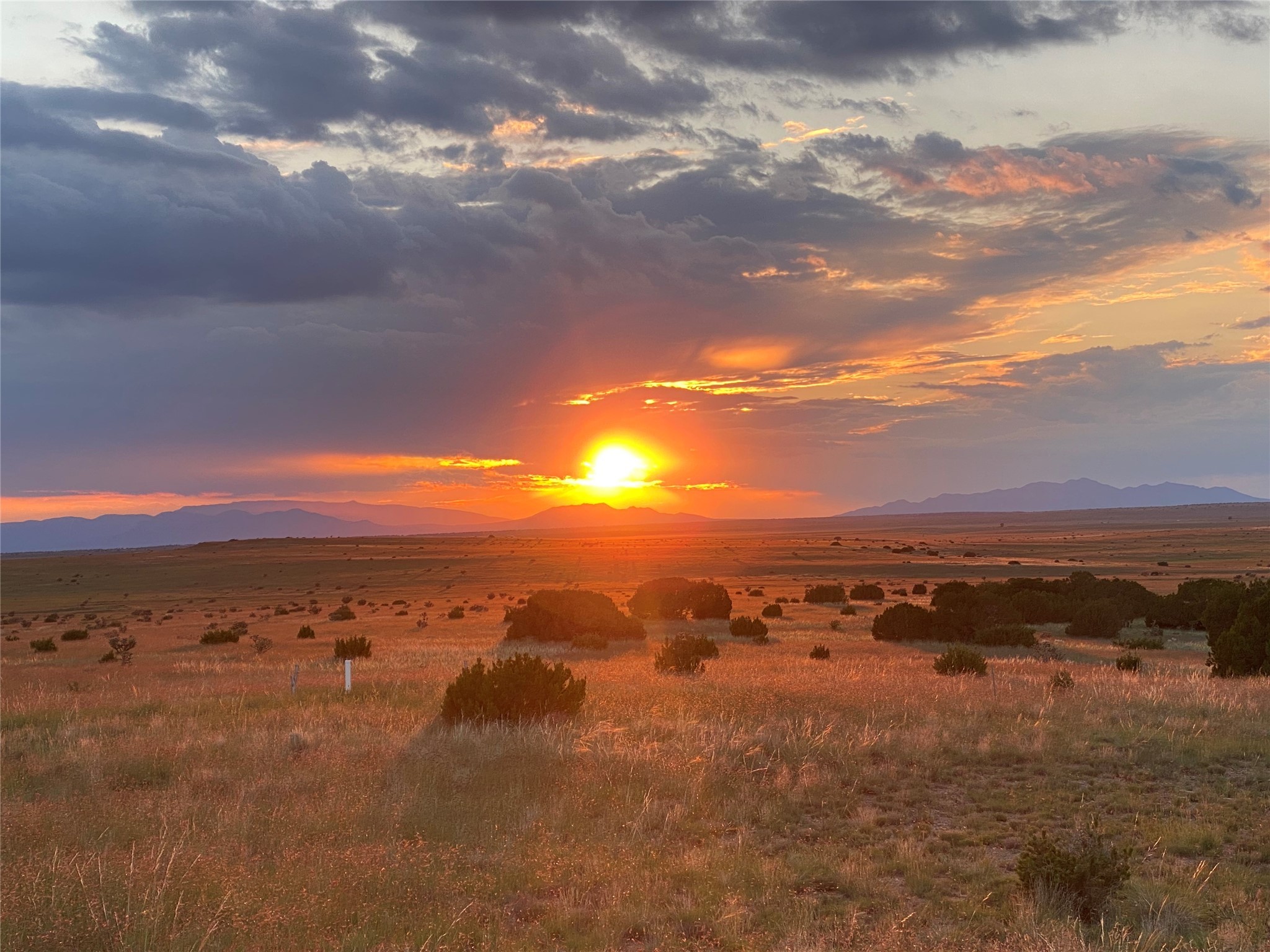 26262 US Highway 285