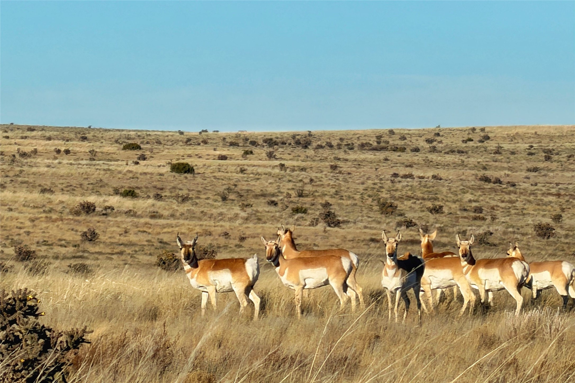 26262 US Highway 285