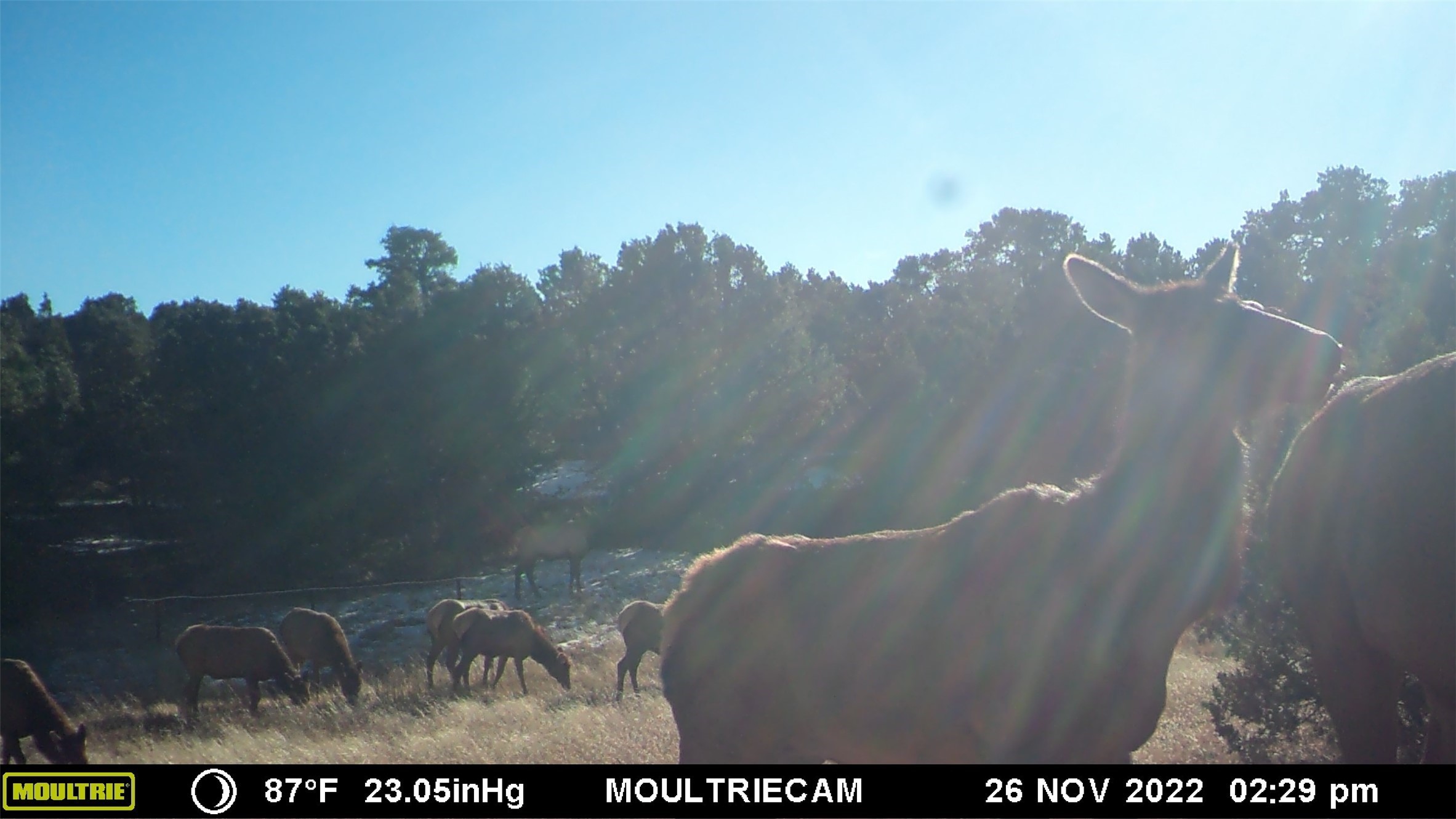 26262 US Highway 285