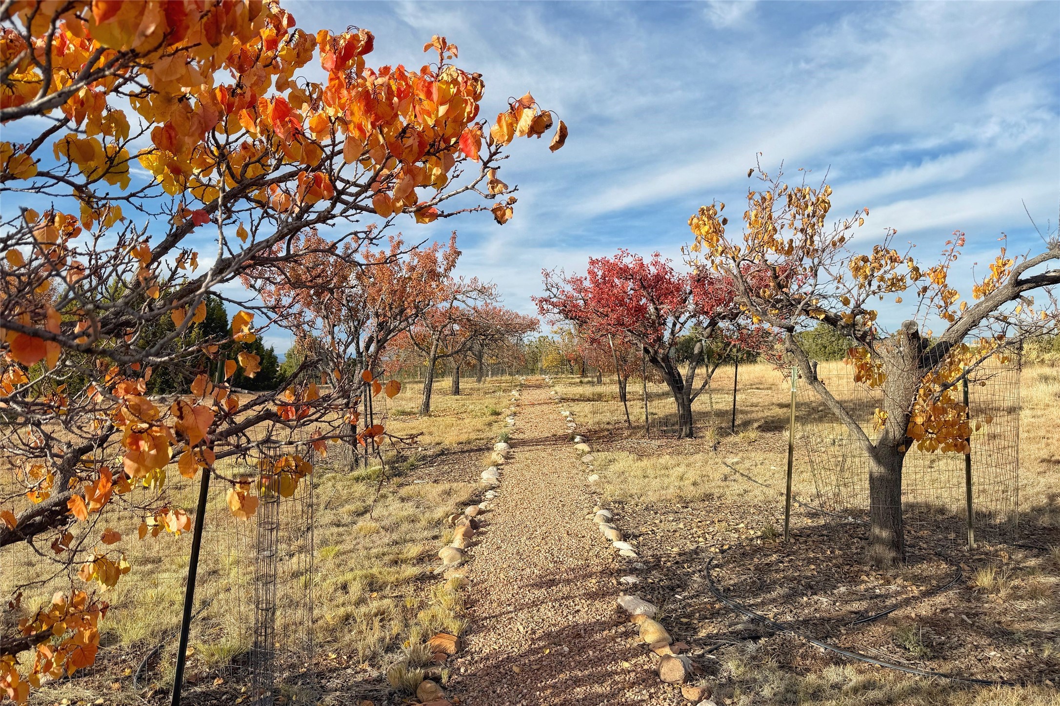 135 Chisholm Trail