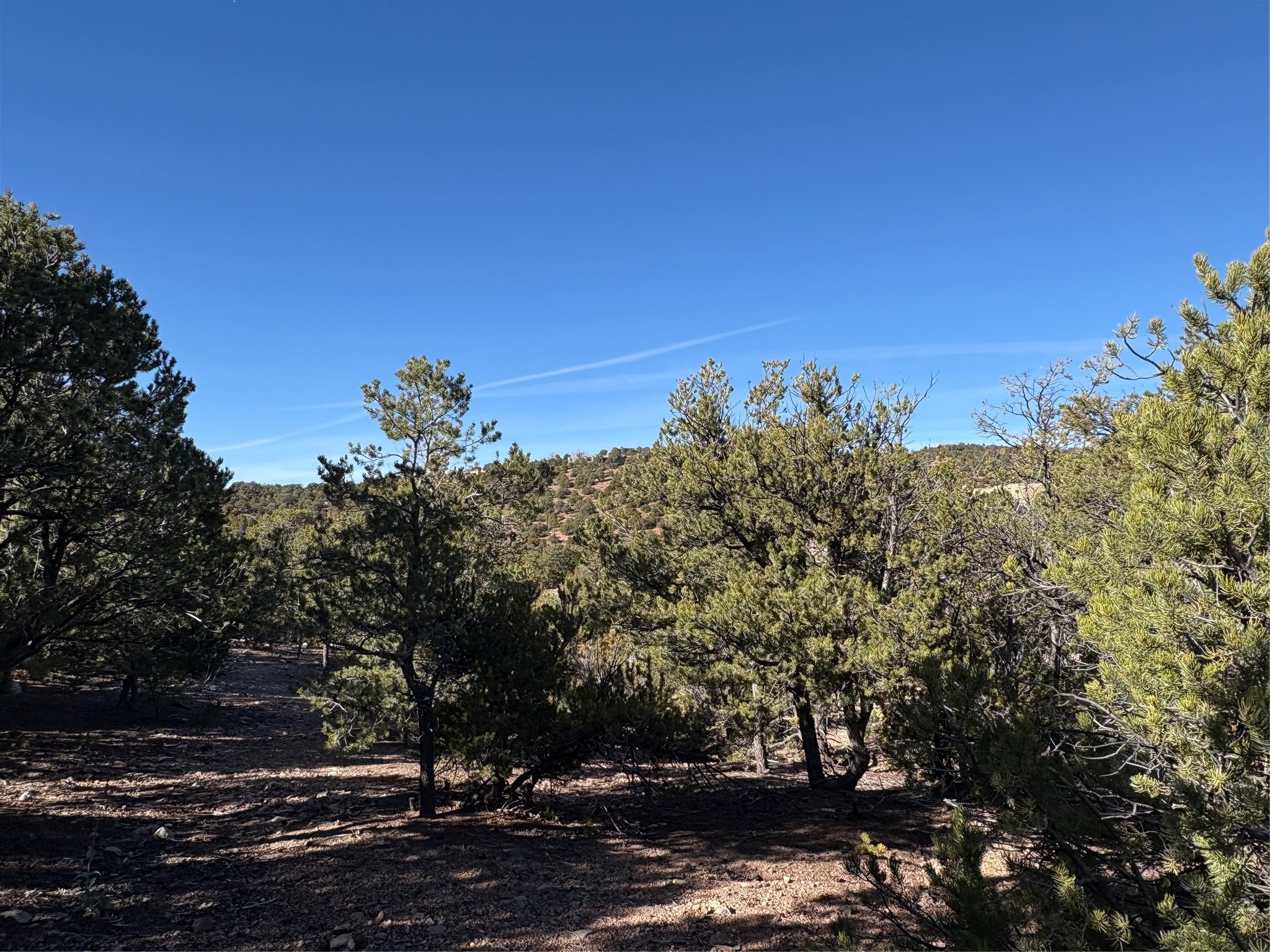 1953 Cerros Colorados