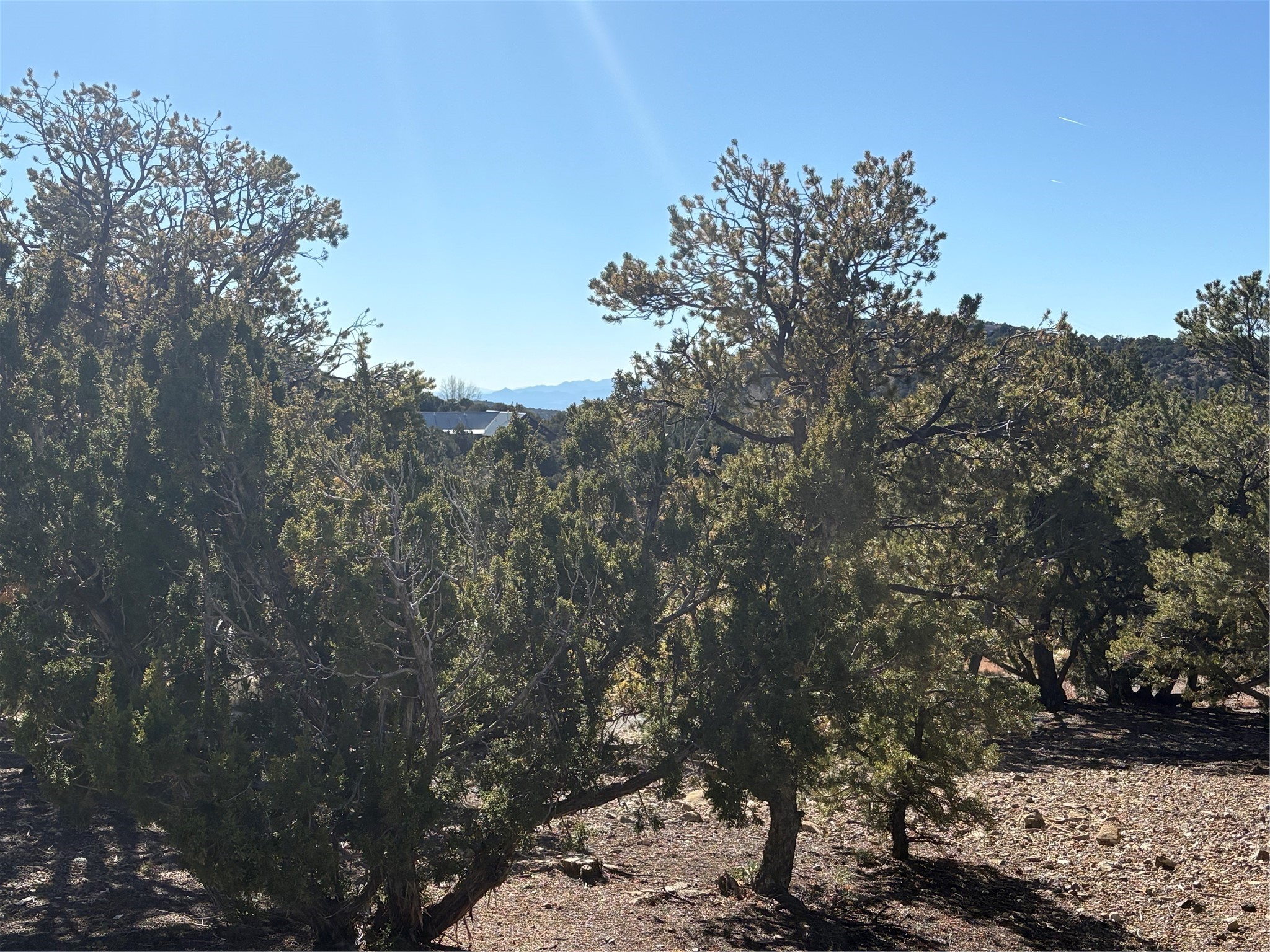 1953 Cerros Colorados