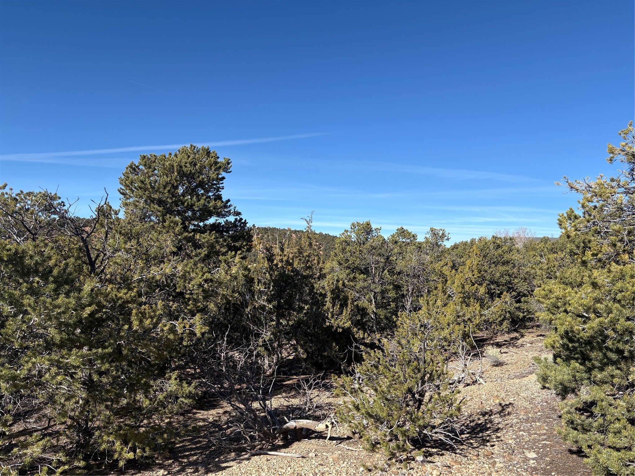 1953 Cerros Colorados
