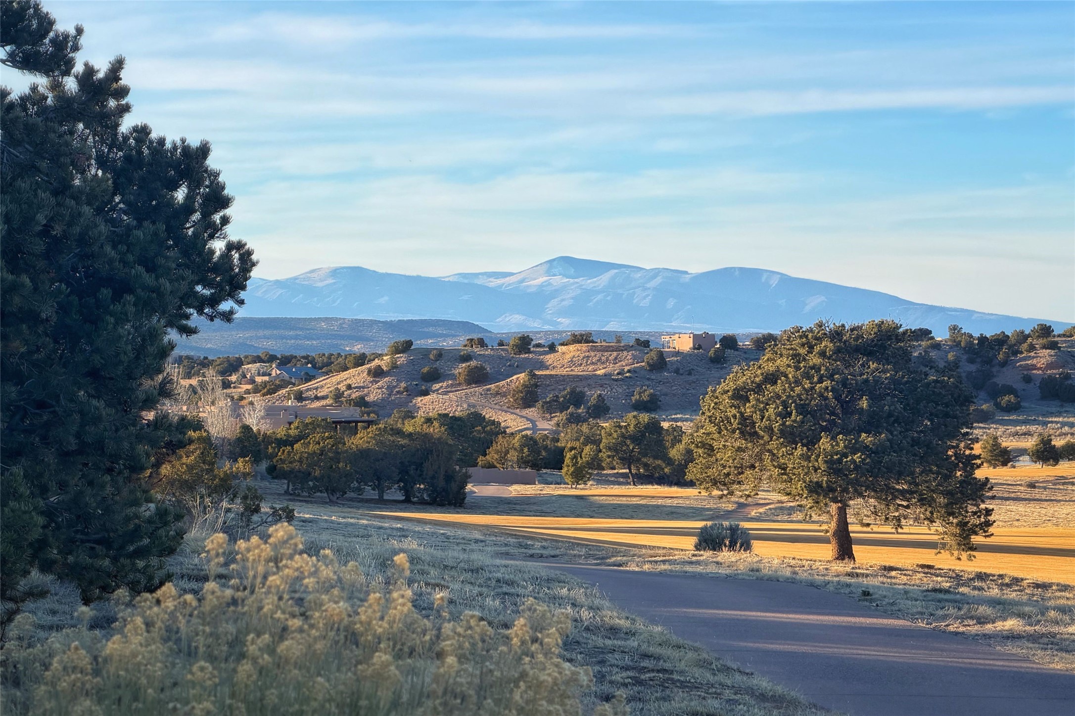 50 Paseo Aragon