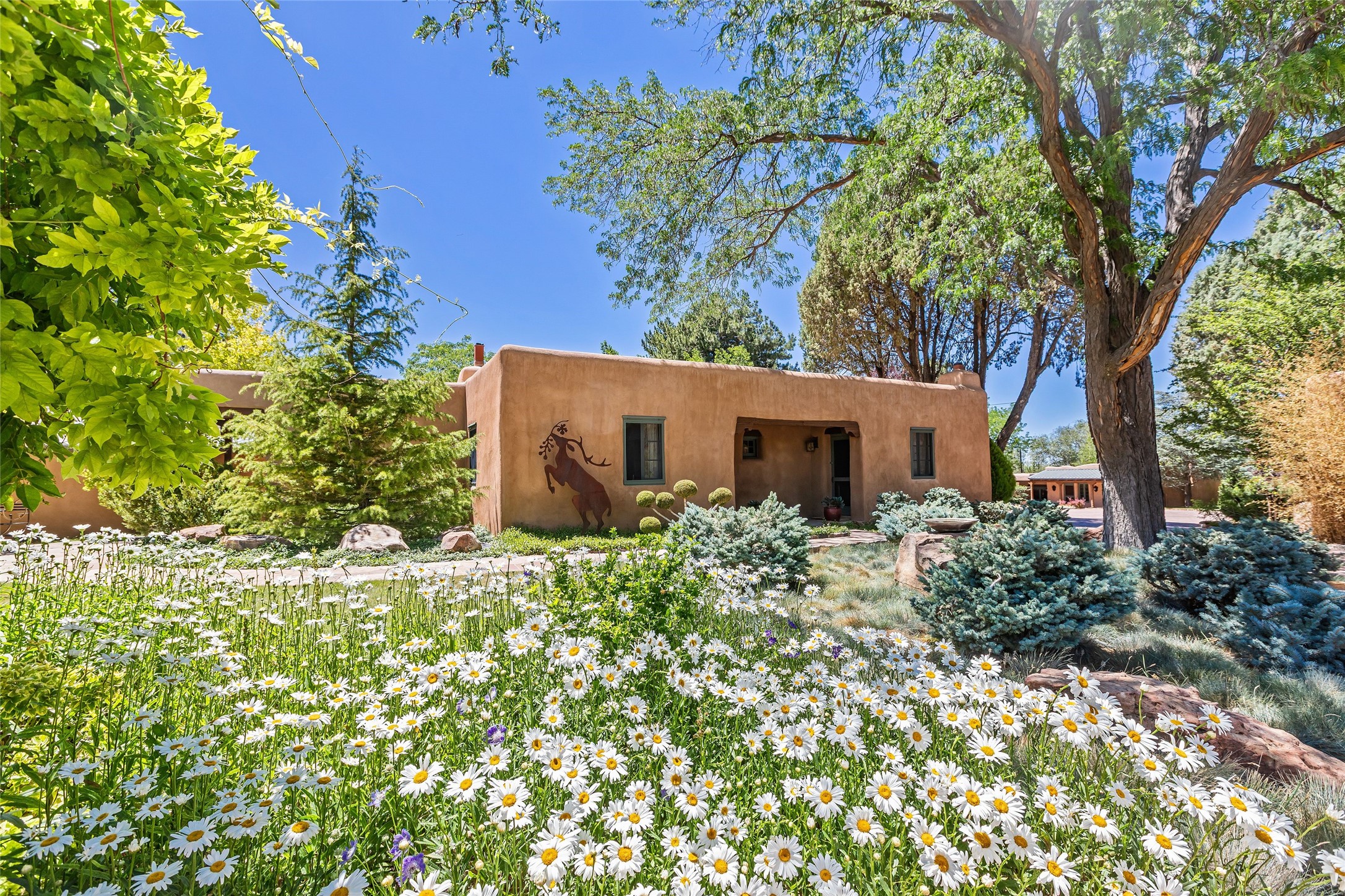 503 Camino Del Monte Sol