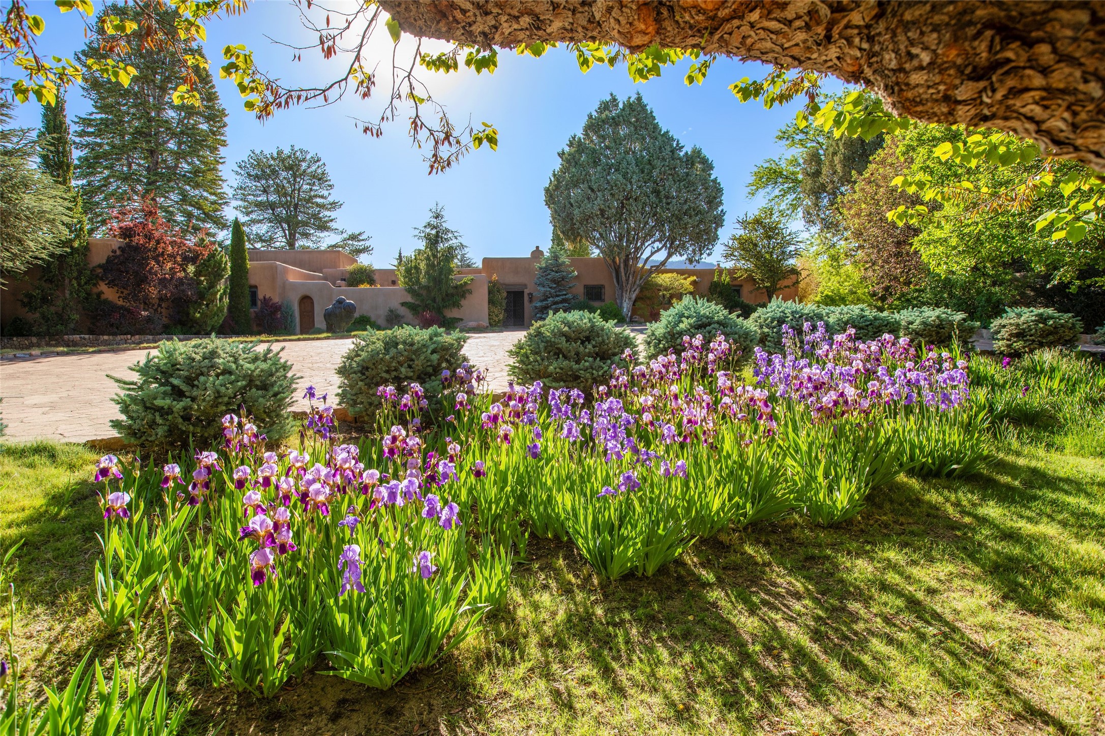 503 Camino Del Monte Sol
