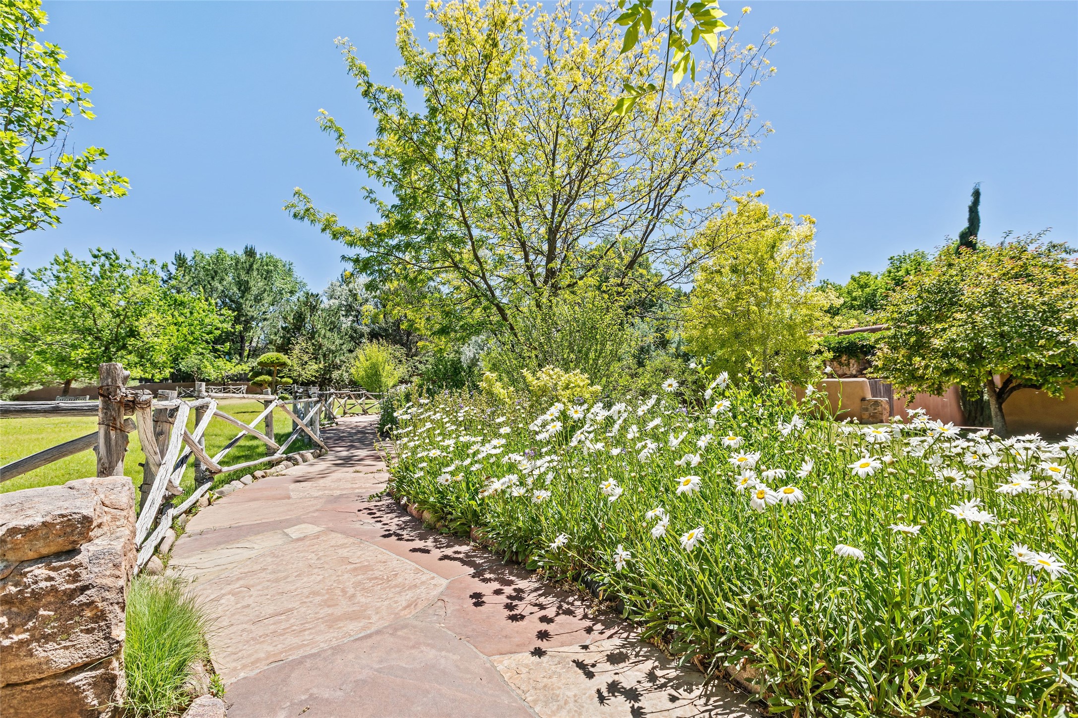 503 Camino Del Monte Sol