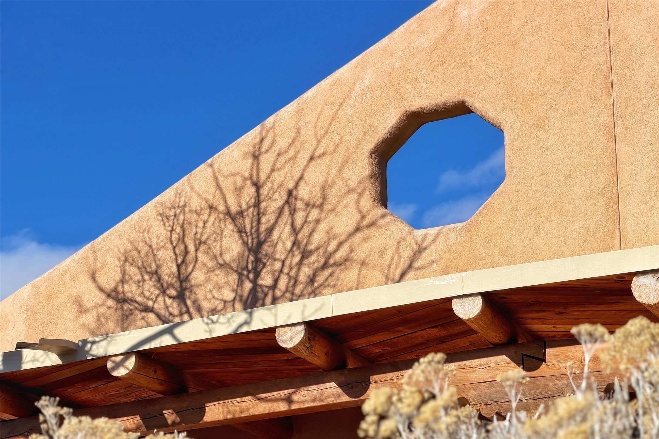 98 La Barbaria Trail