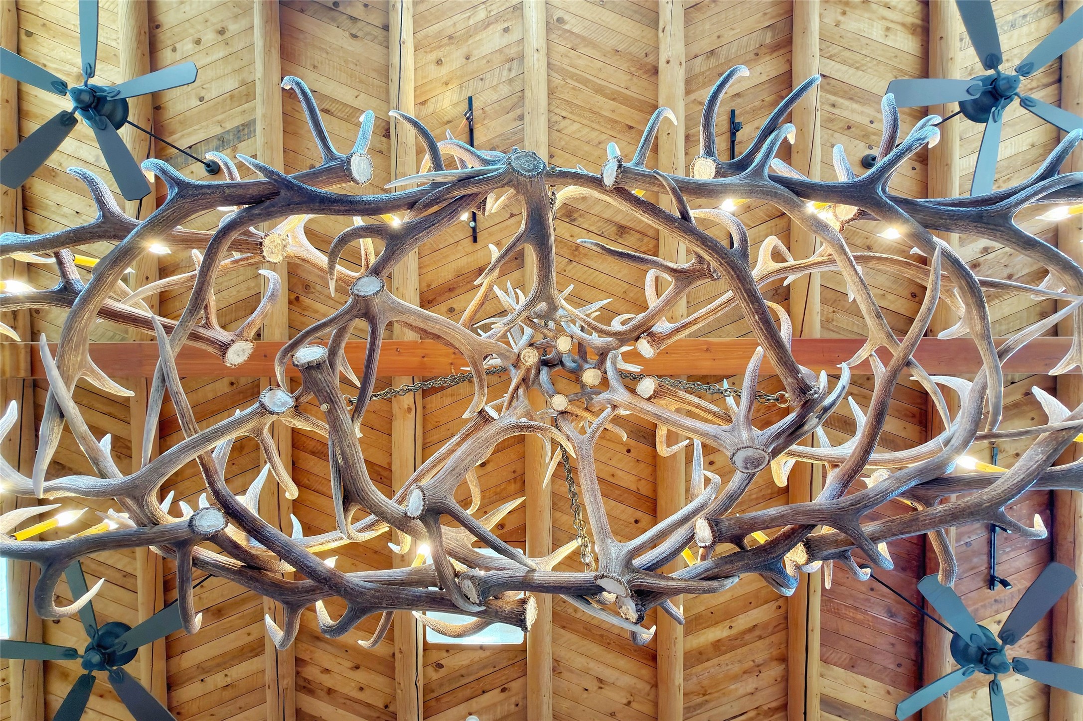 98 La Barbaria Trail