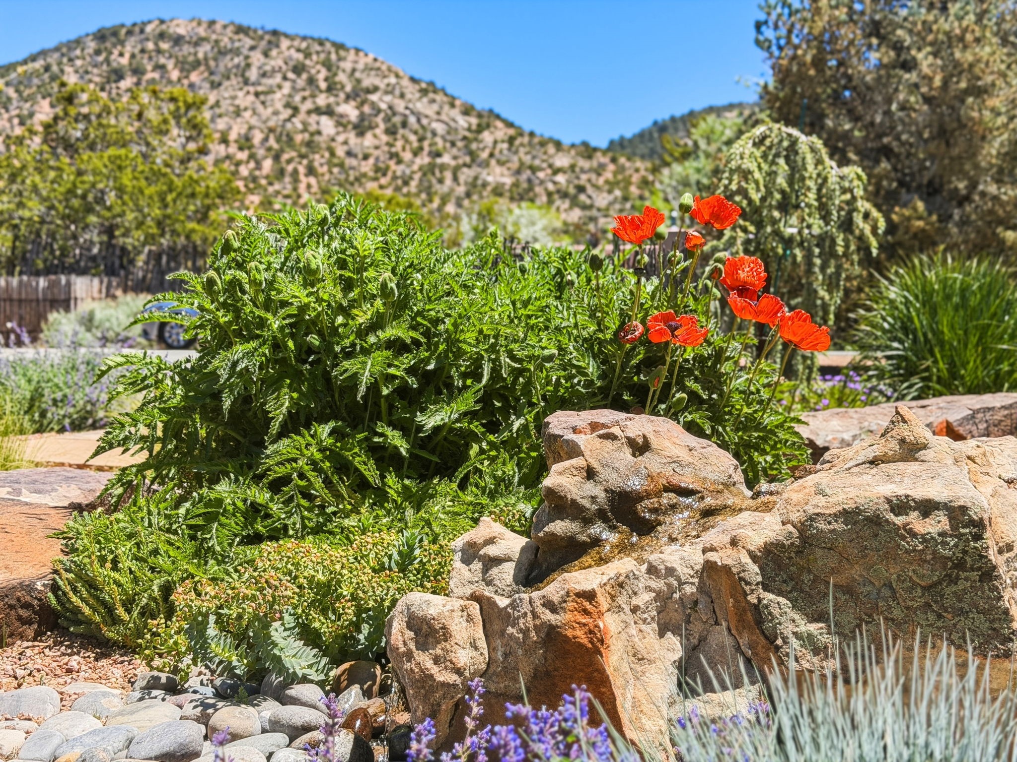 3876 Old Santa Fe Trail