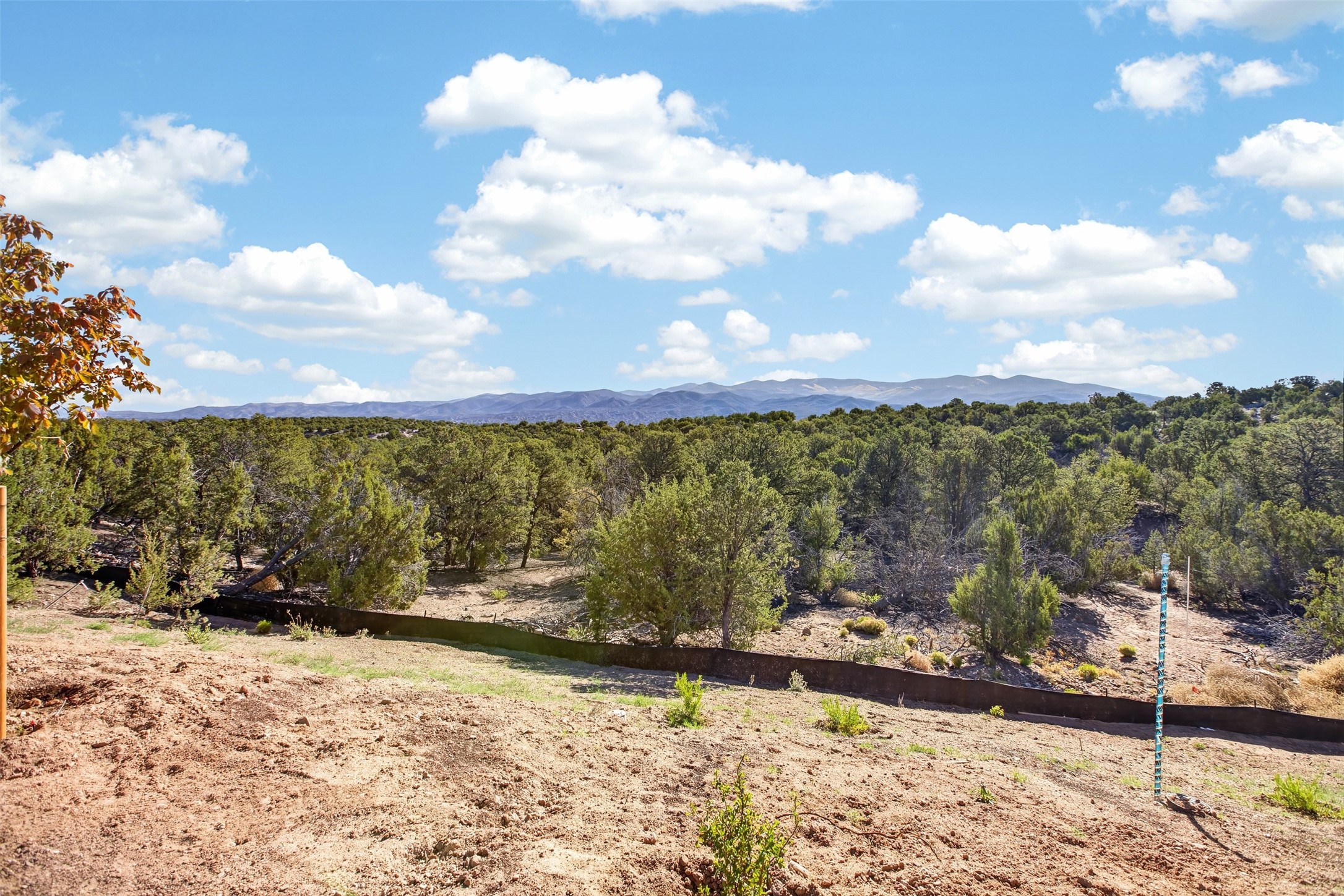 4021 Via Verdi, Lot 228