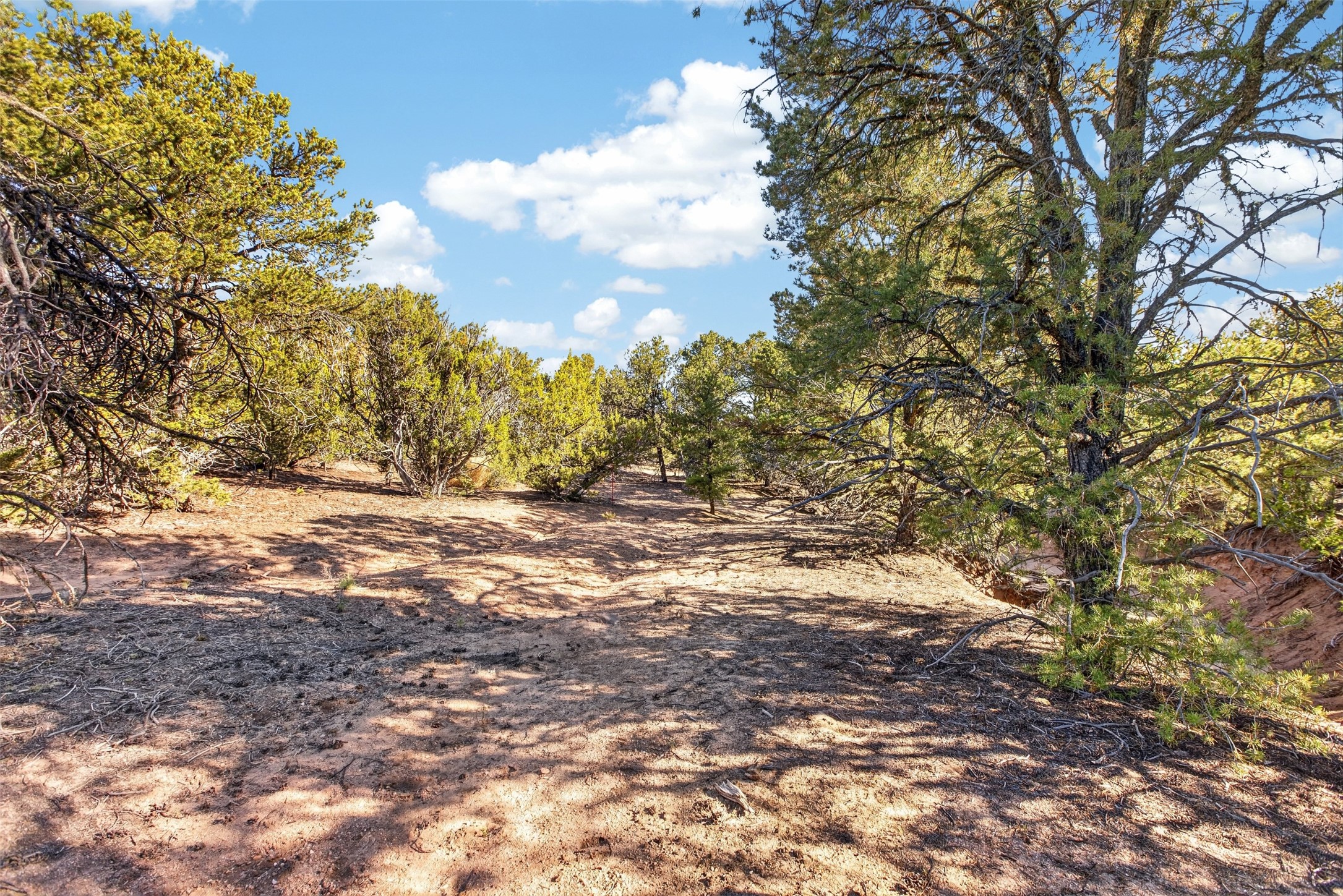 4021 Via Verdi, Lot 228