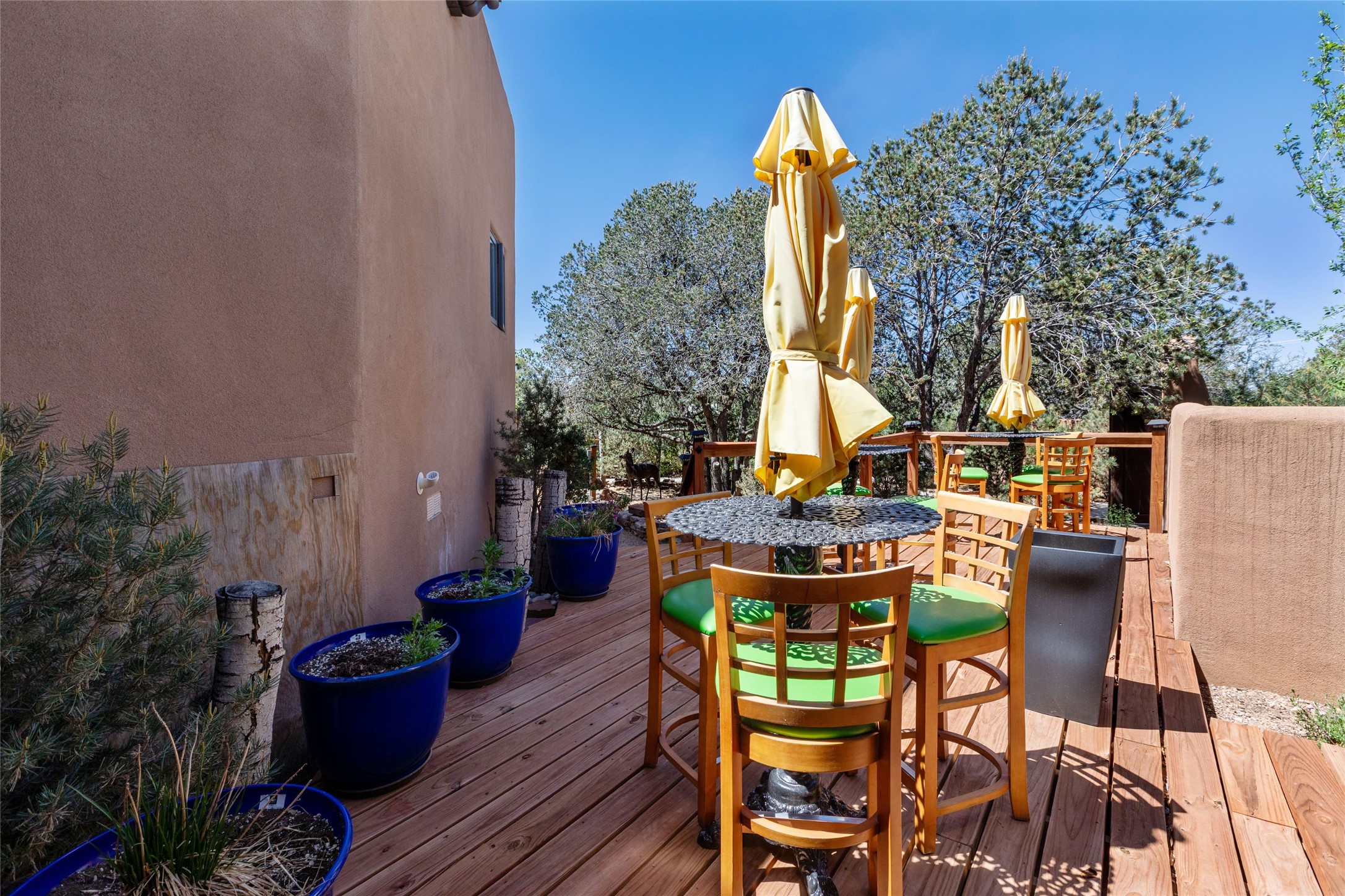 1327 Old Pecos Trail