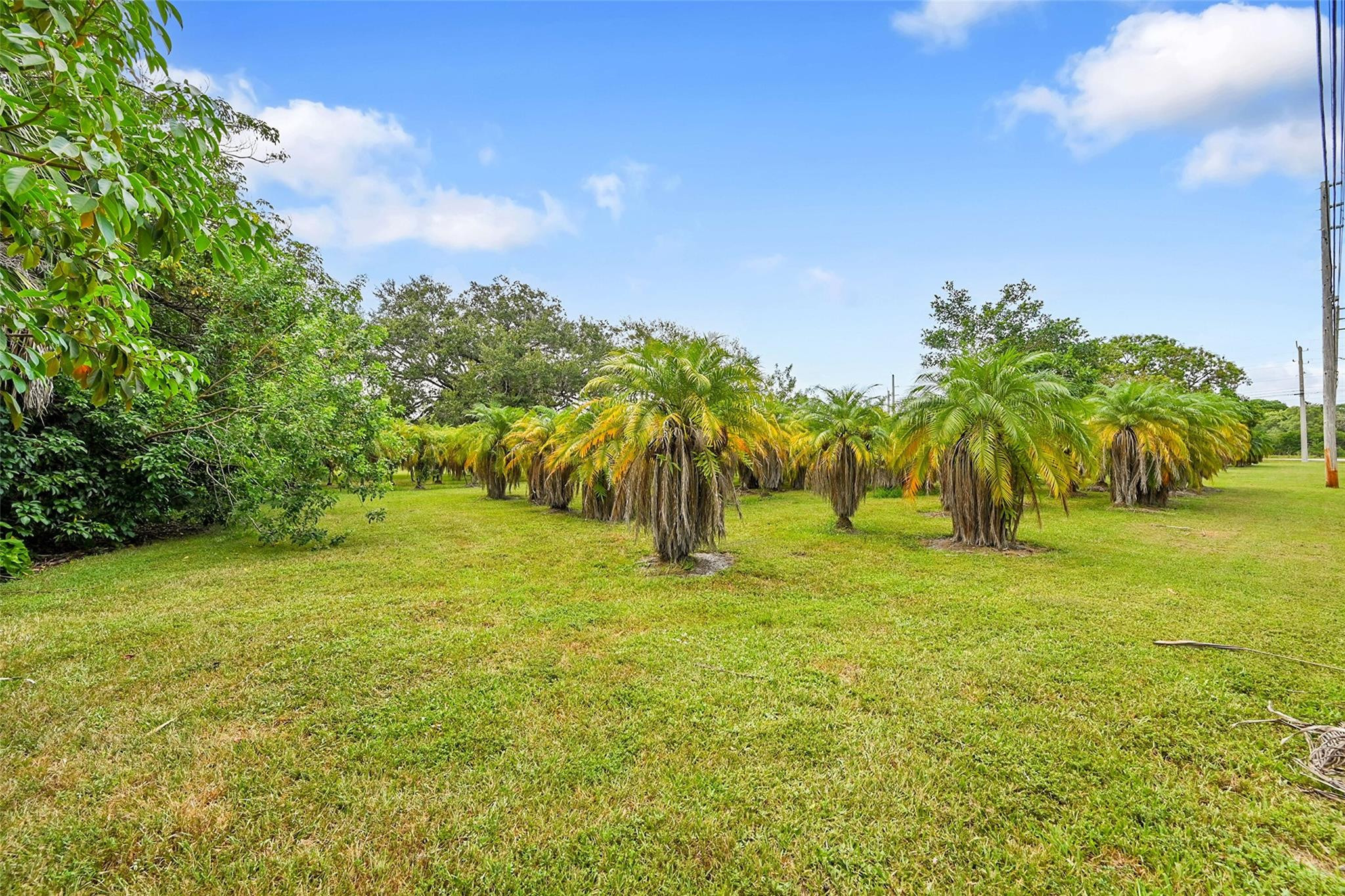 1201 N Old Hiatus Road, Plantation