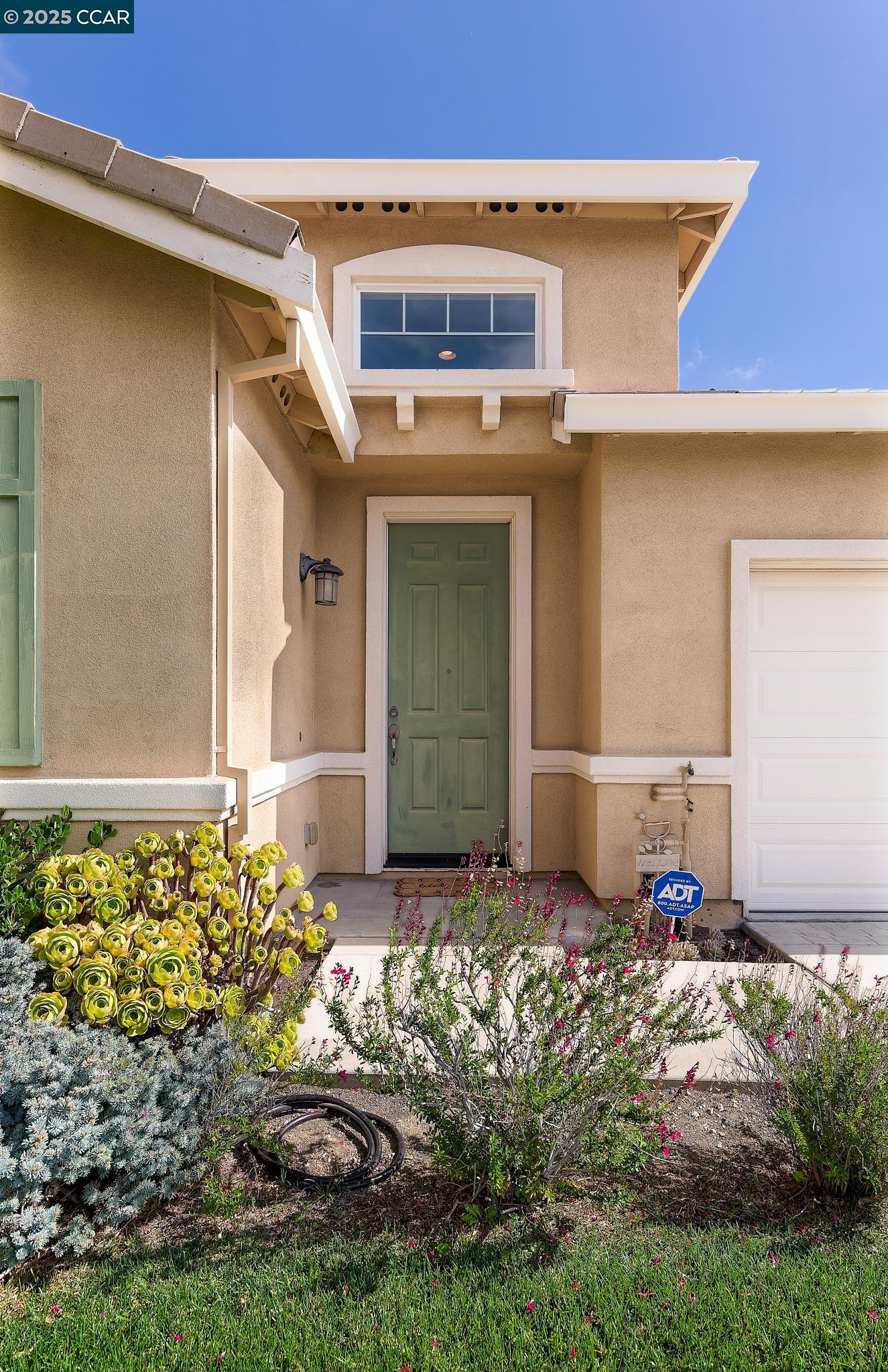 2447 Vallarta Dr