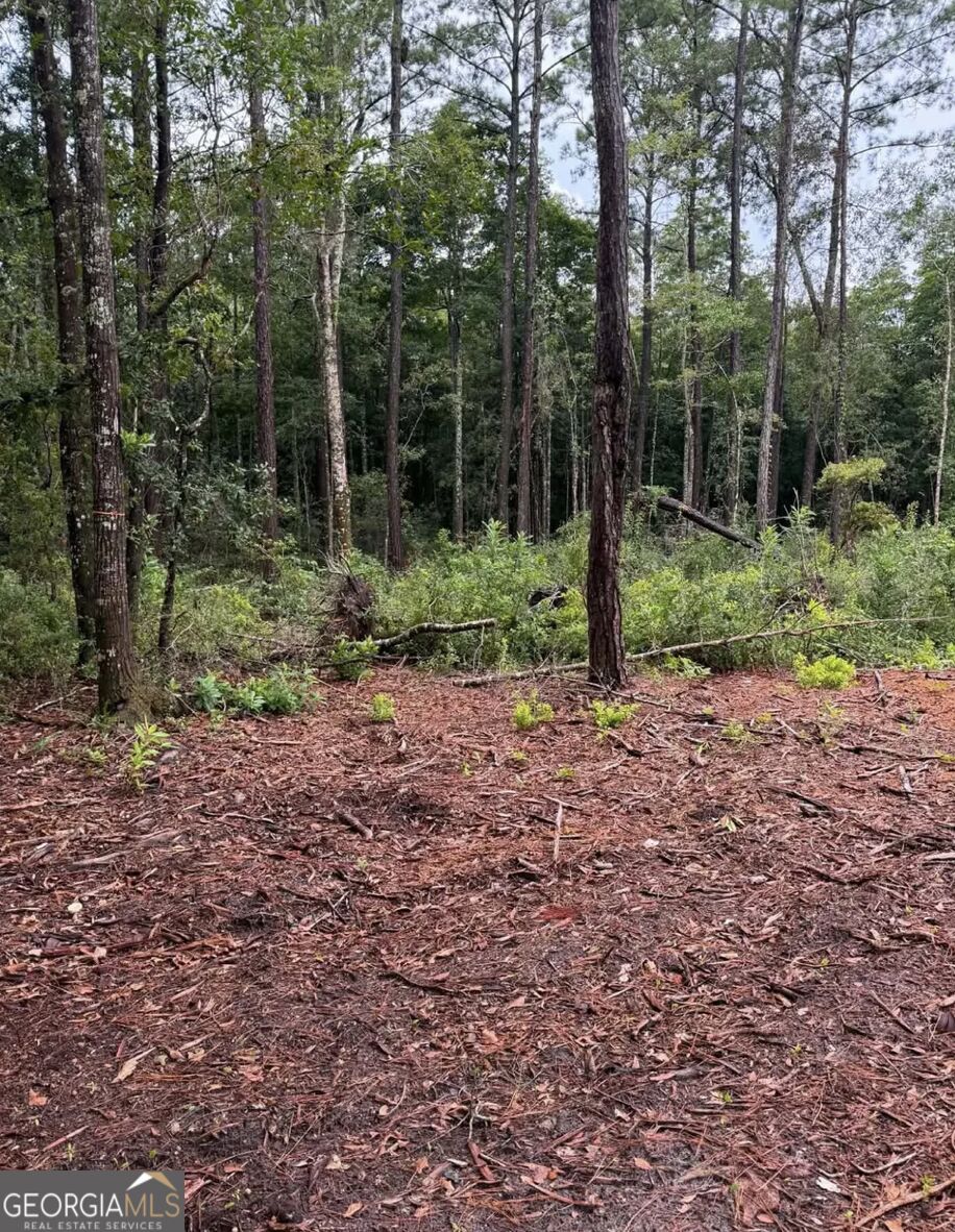 0 Rayland Tract Charlie Smith Sr Highway, St. Marys