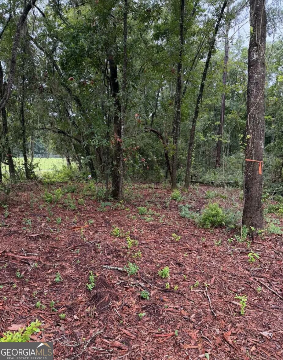 0 Rayland Tract Charlie Smith Sr Highway, St. Marys