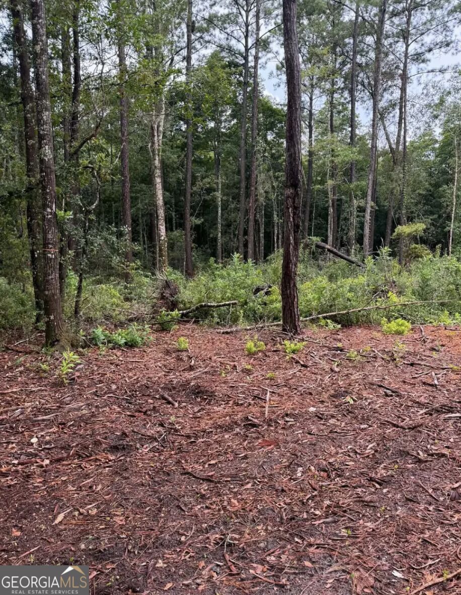0 Rayland Tract Charlie Smith Sr Highway, St. Marys