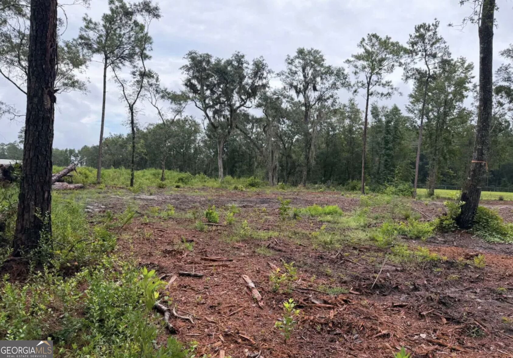 0 Rayland Tract Charlie Smith Sr Highway, St. Marys
