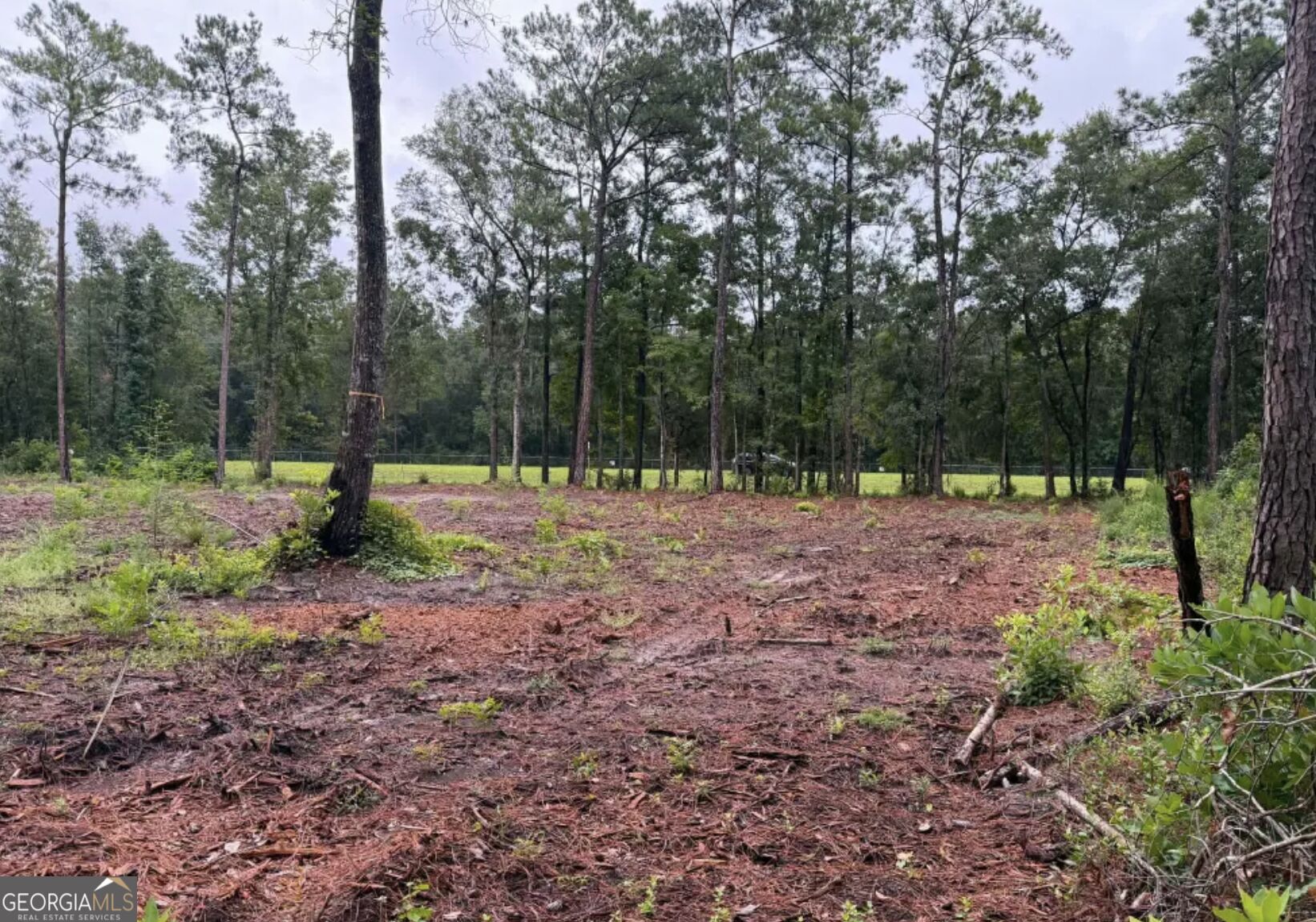 0 Rayland Tract Charlie Smith Sr Highway, St. Marys