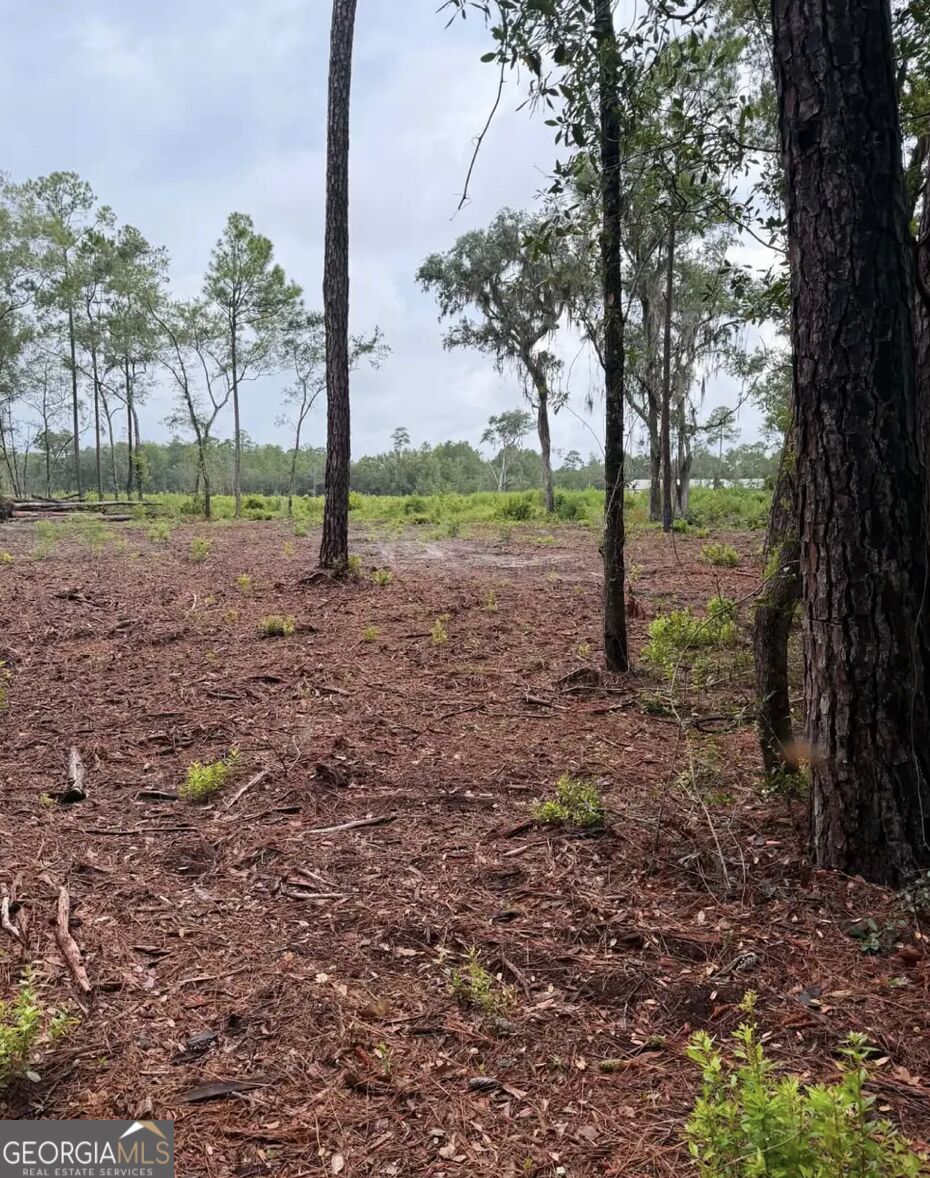 0 Rayland Tract Charlie Smith Sr Highway, St. Marys