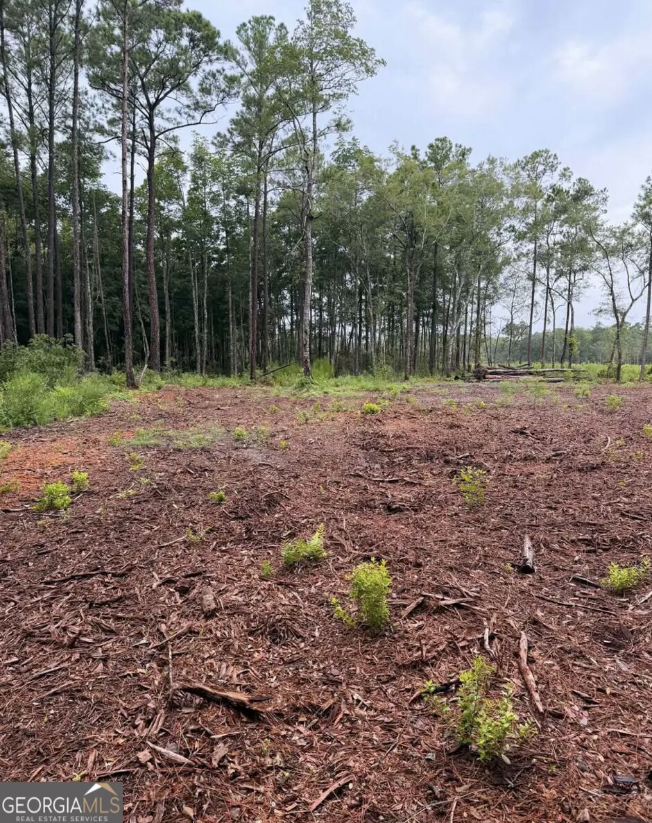 0 Rayland Tract Charlie Smith Sr Highway, St. Marys