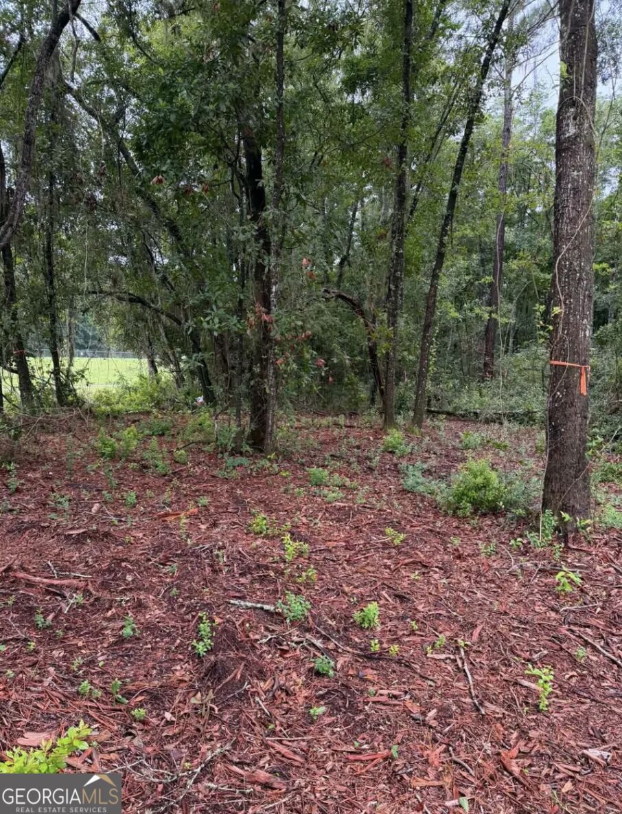0 Rayland Tract Charlie Smith Sr Highway, St. Marys