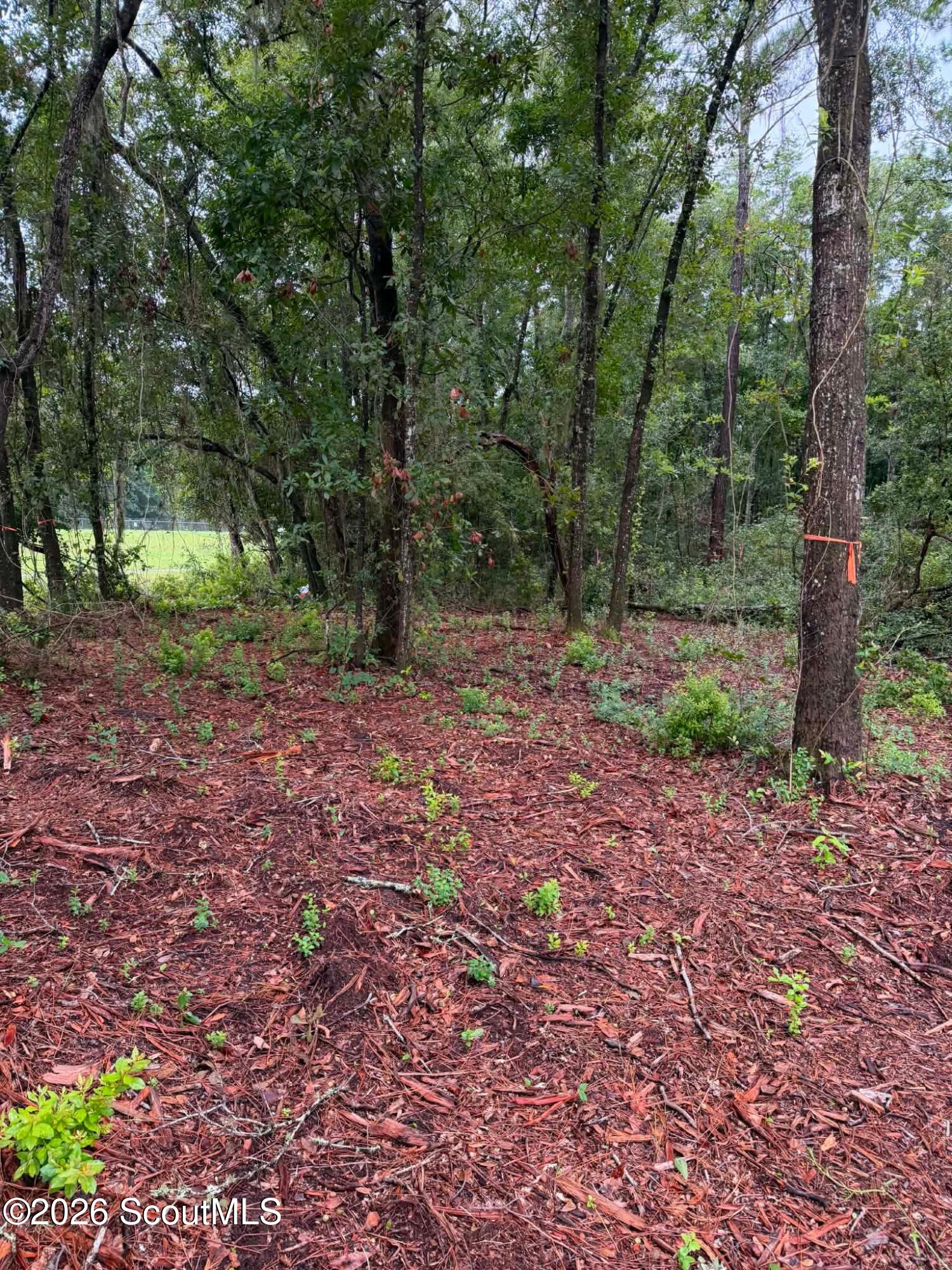 0 Rayland Tract Charlie Smith Sr Highway, St. Marys