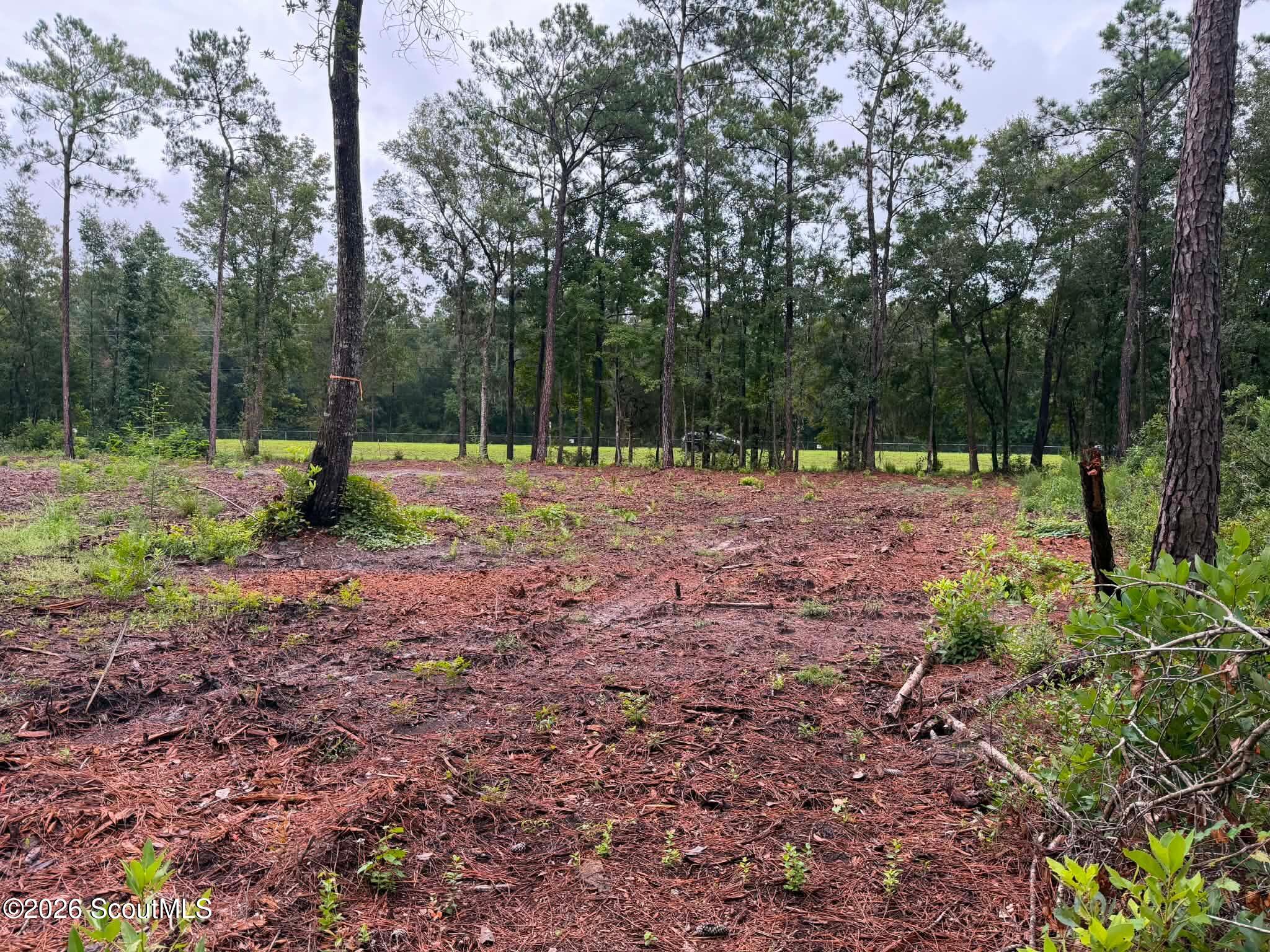 0 Rayland Tract Charlie Smith Sr Highway, St. Marys