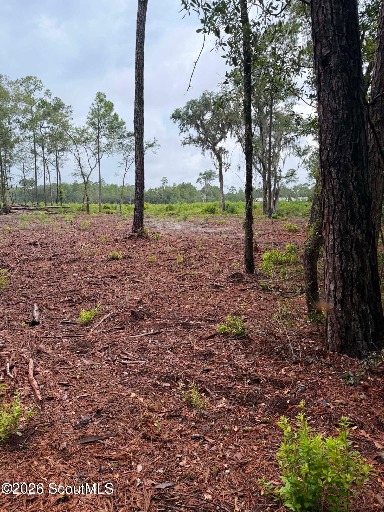 0 Rayland Tract Charlie Smith Sr Highway, St. Marys