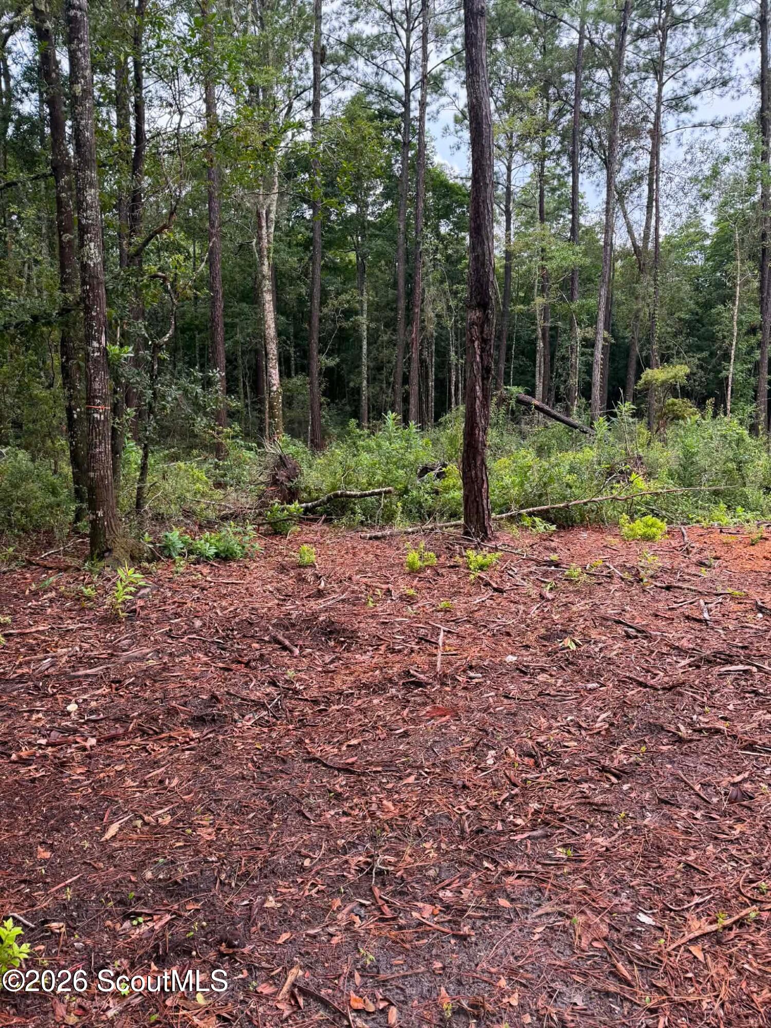 0 Rayland Tract Charlie Smith Sr Highway, St. Marys
