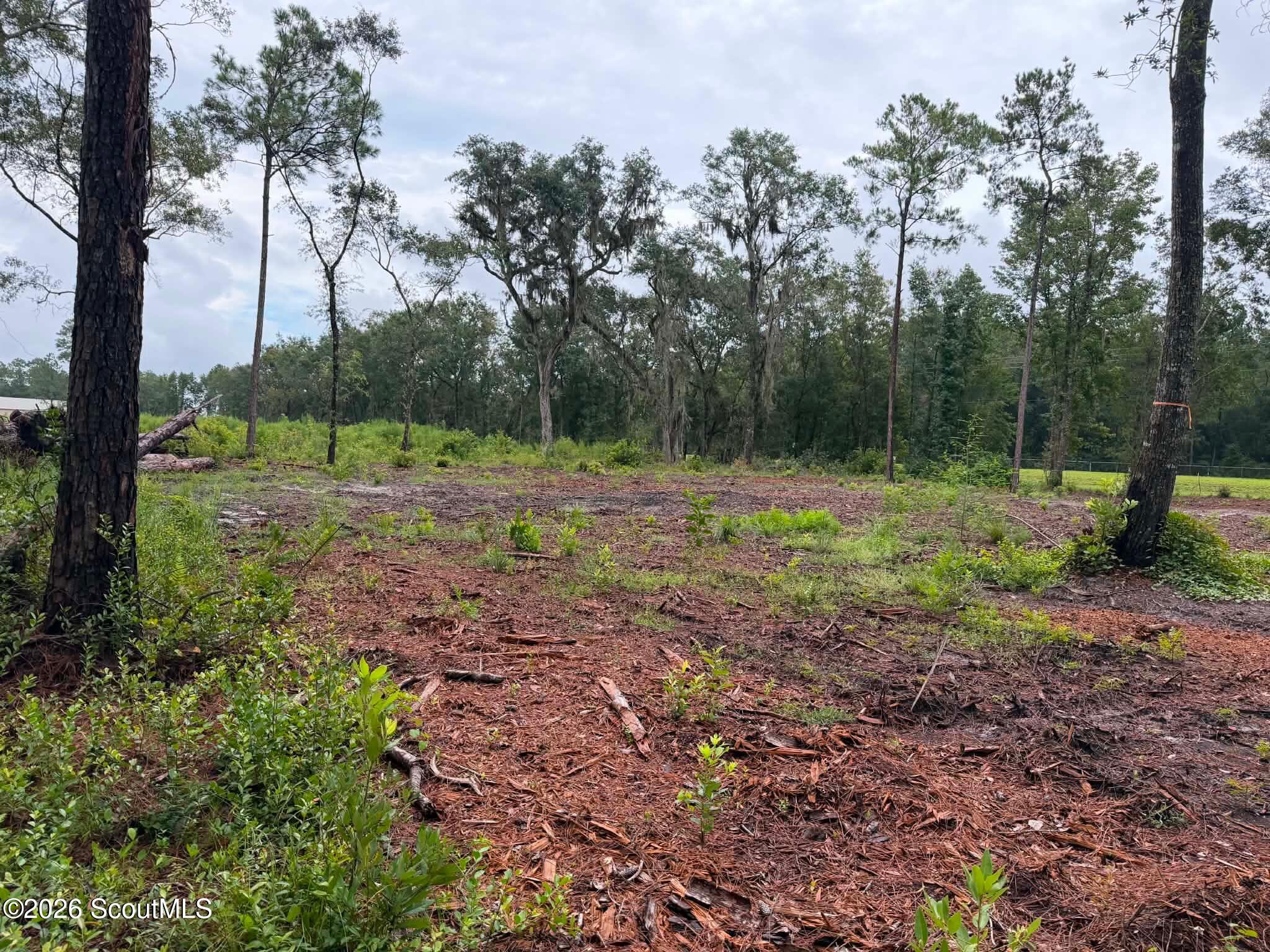 0 Rayland Tract Charlie Smith Sr Highway, St. Marys