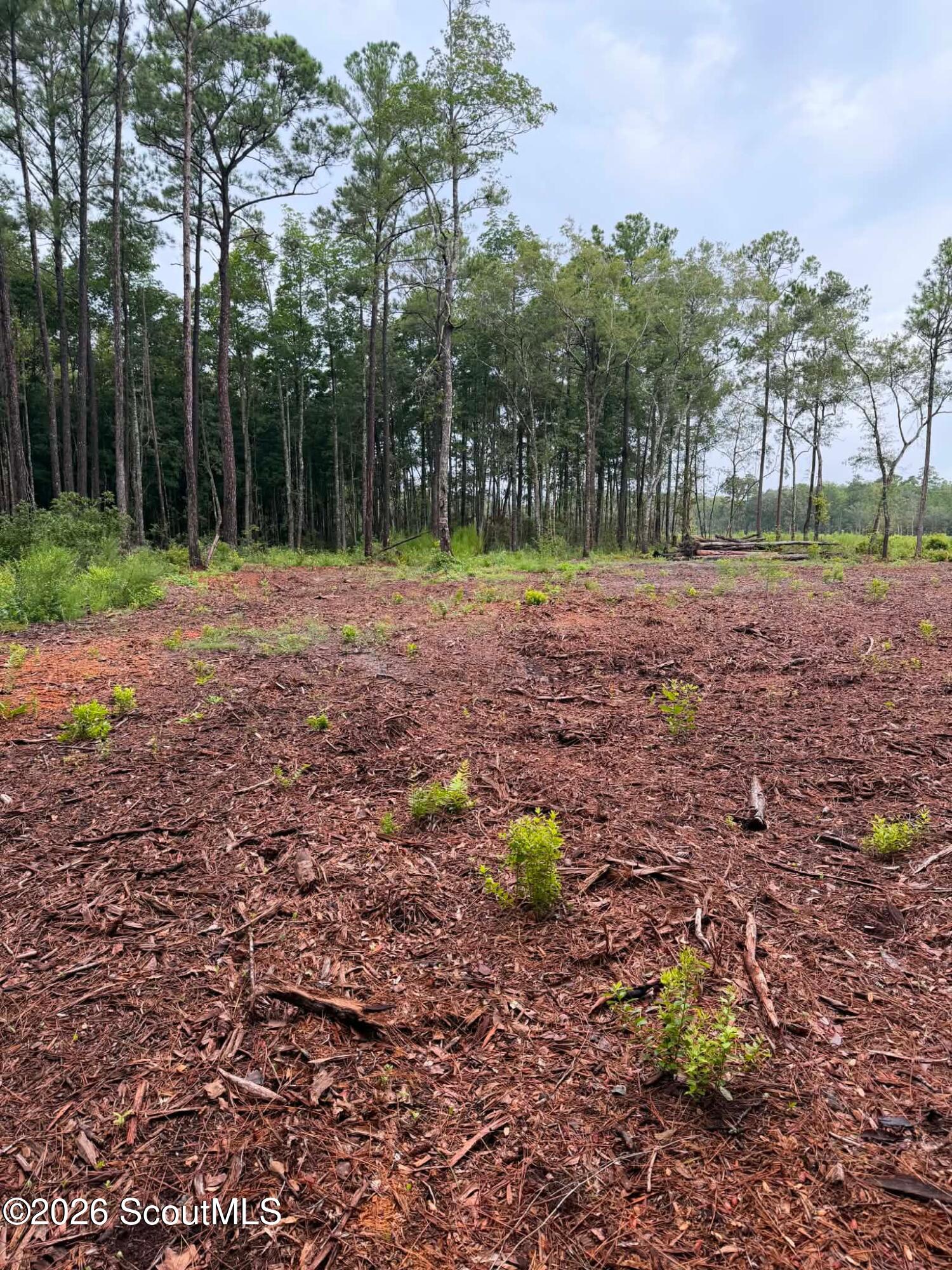 0 Rayland Tract Charlie Smith Sr Highway, St. Marys