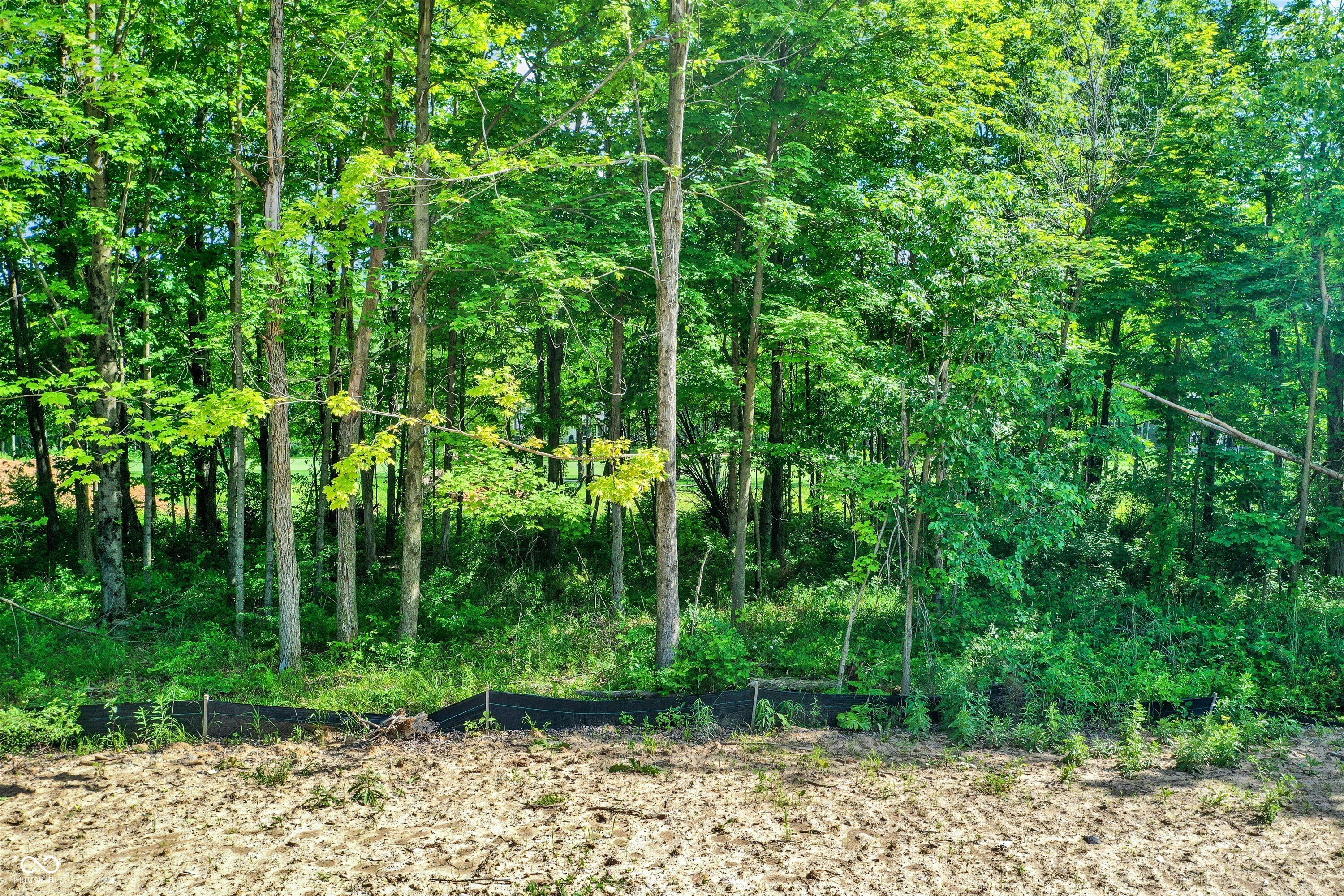 10461 Dartmoor Way (Lot T20)