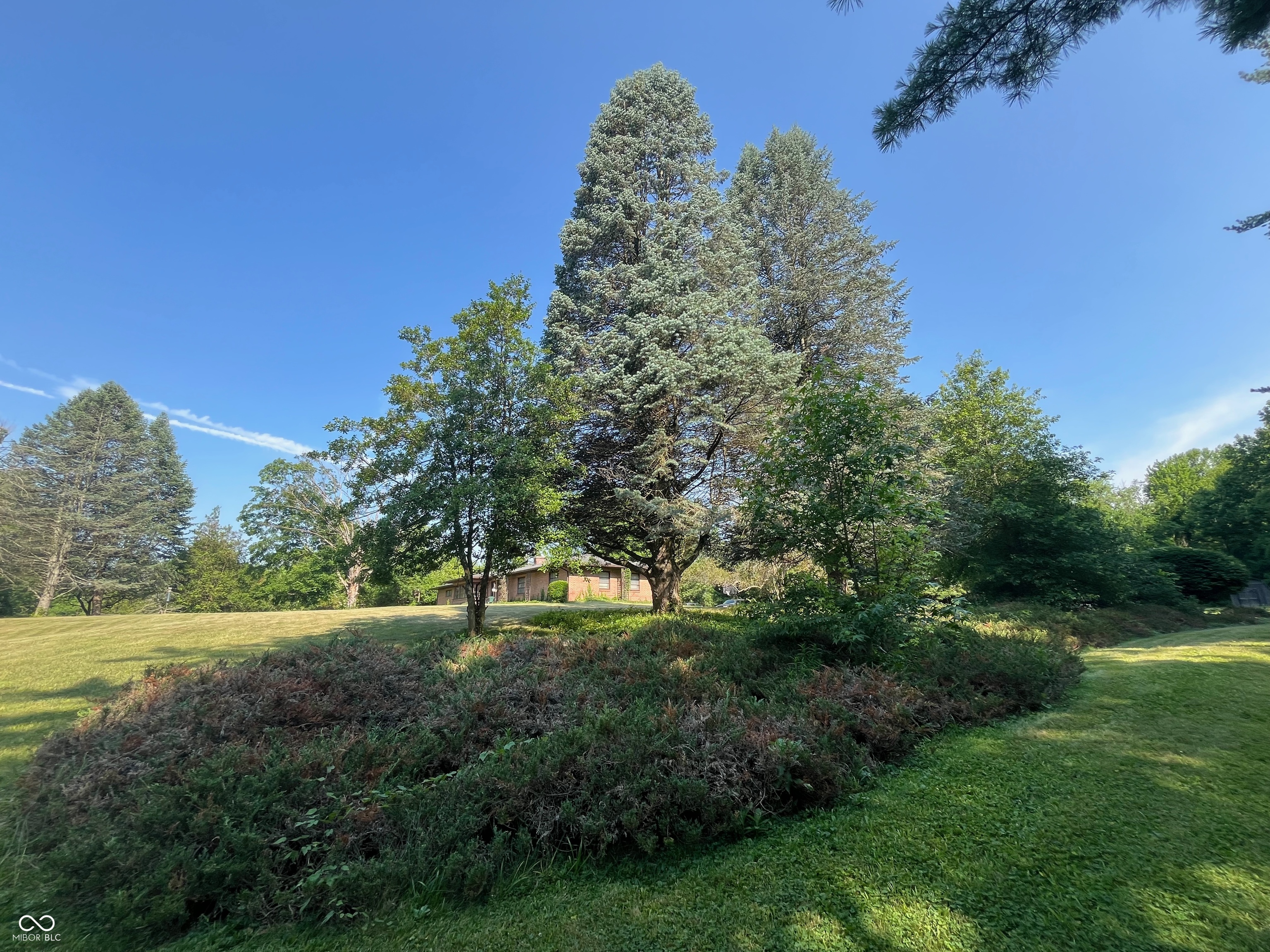 7848 W 88th Street